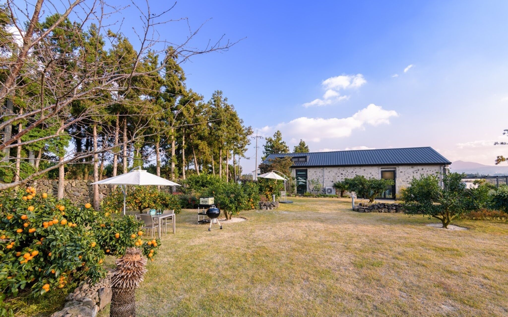 Jeju Patio Aewol