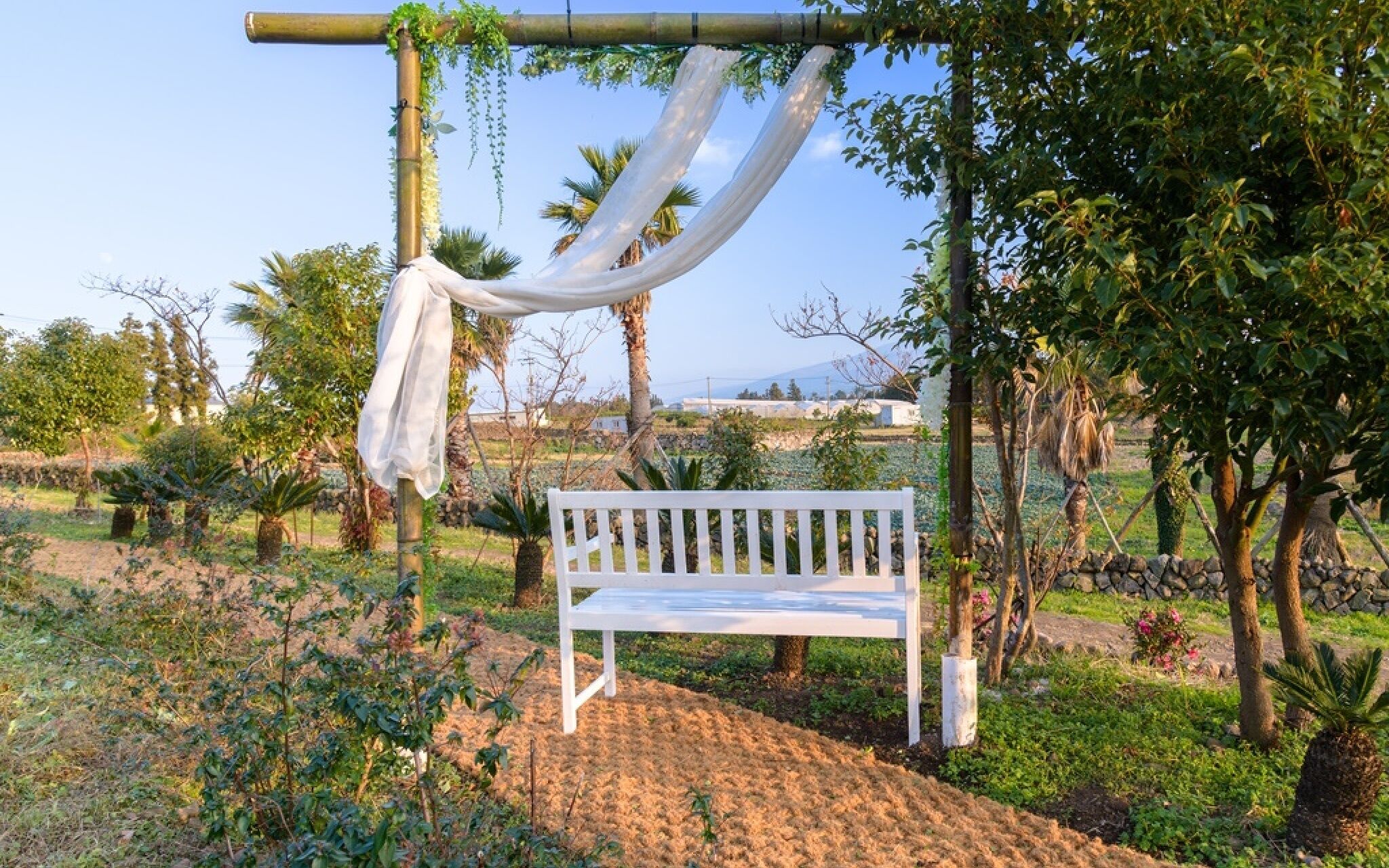 Jeju Patio Aewol