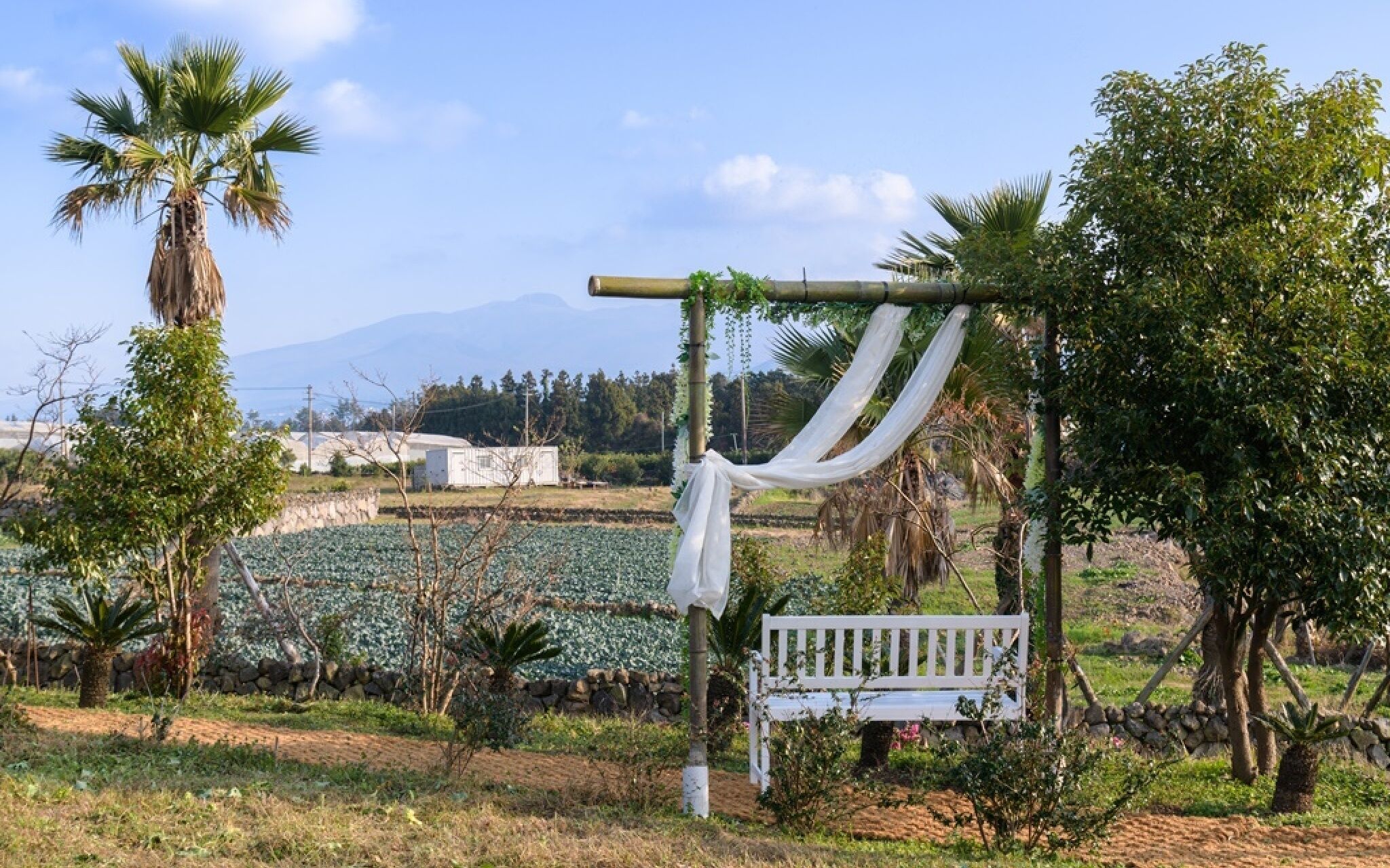 Jeju Patio Aewol