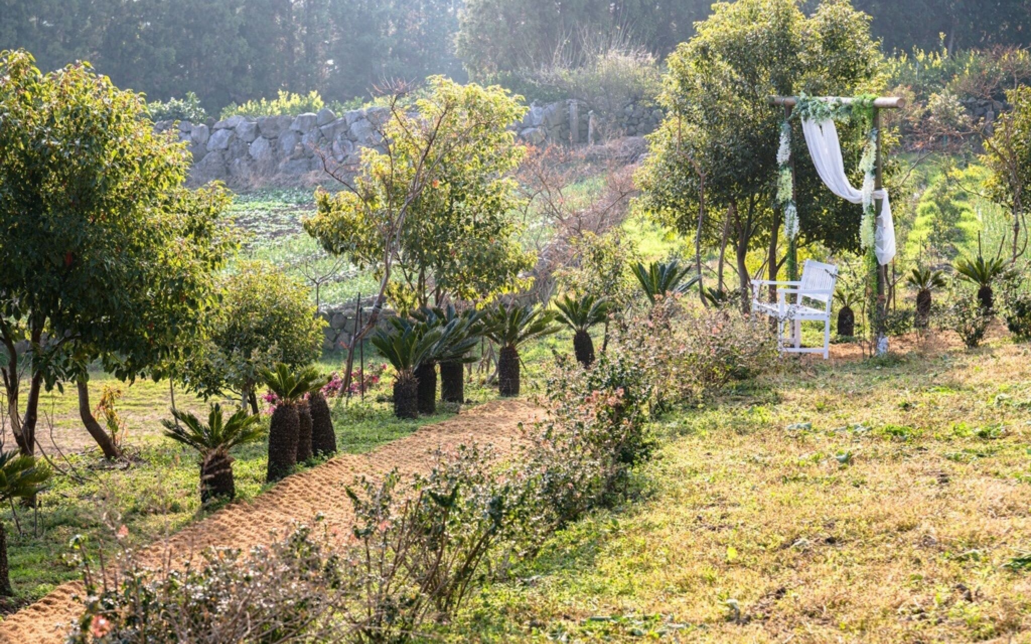 Jeju Patio Aewol