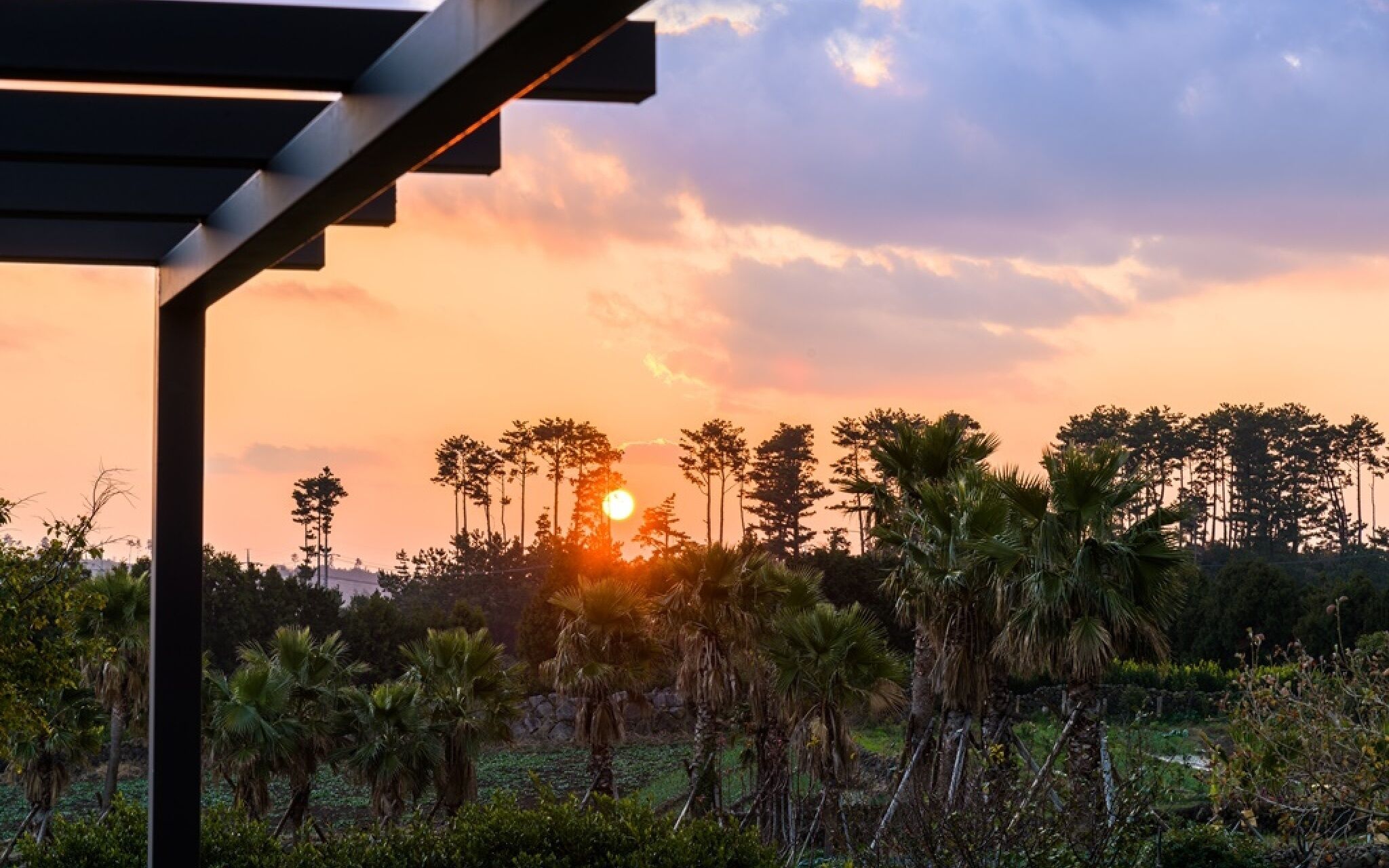 Jeju Patio Aewol
