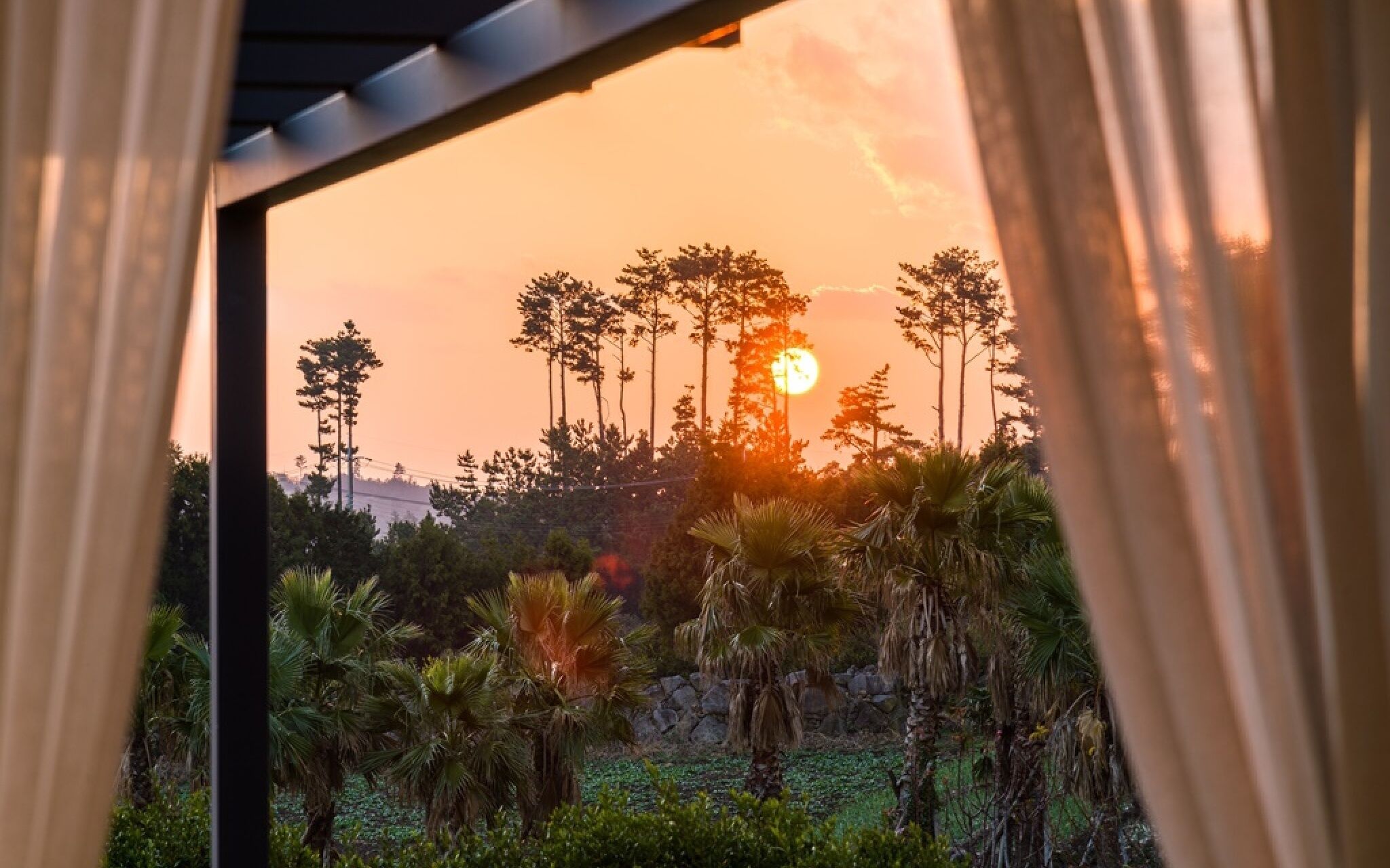 Jeju Patio Aewol