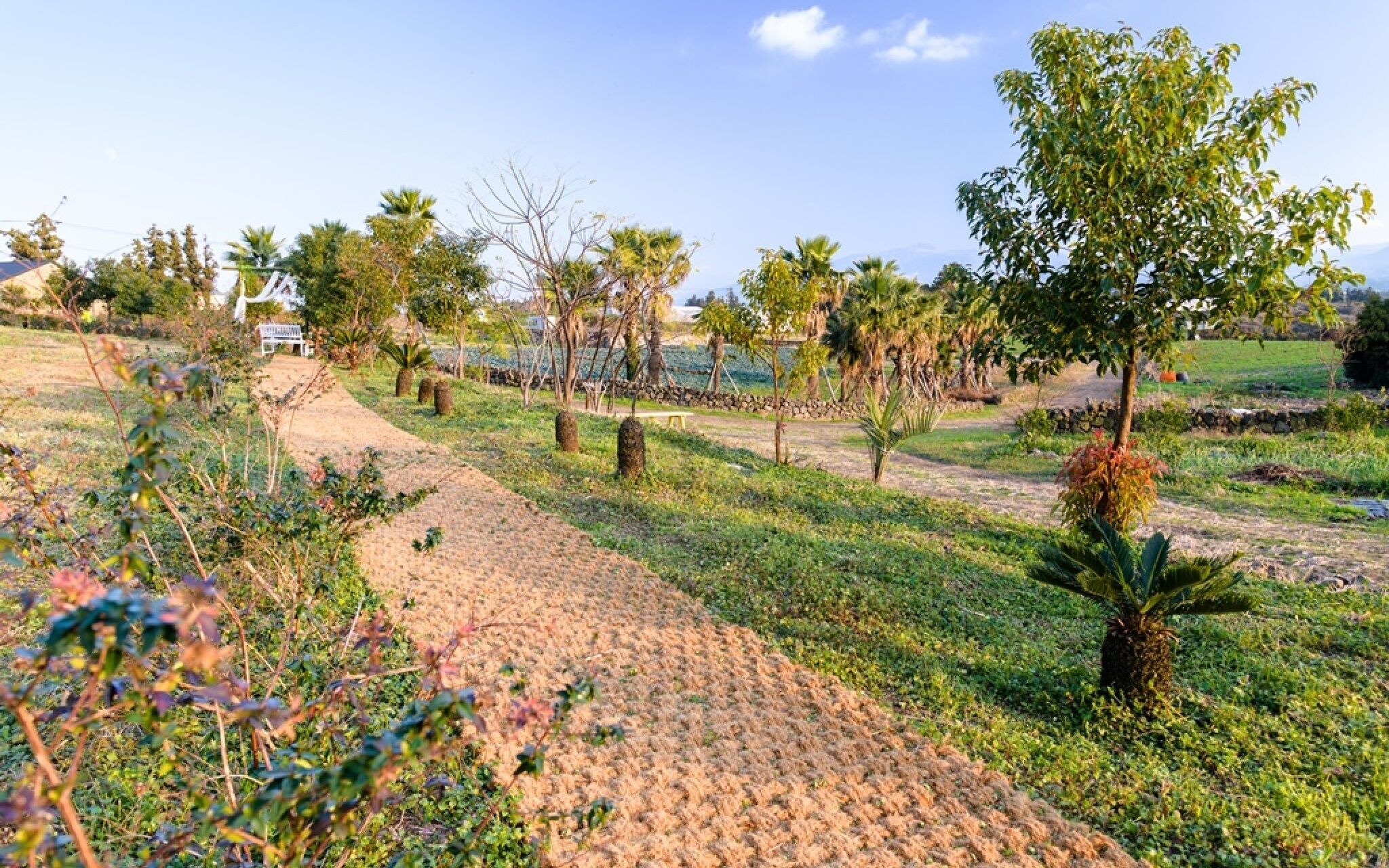 Jeju Patio Aewol