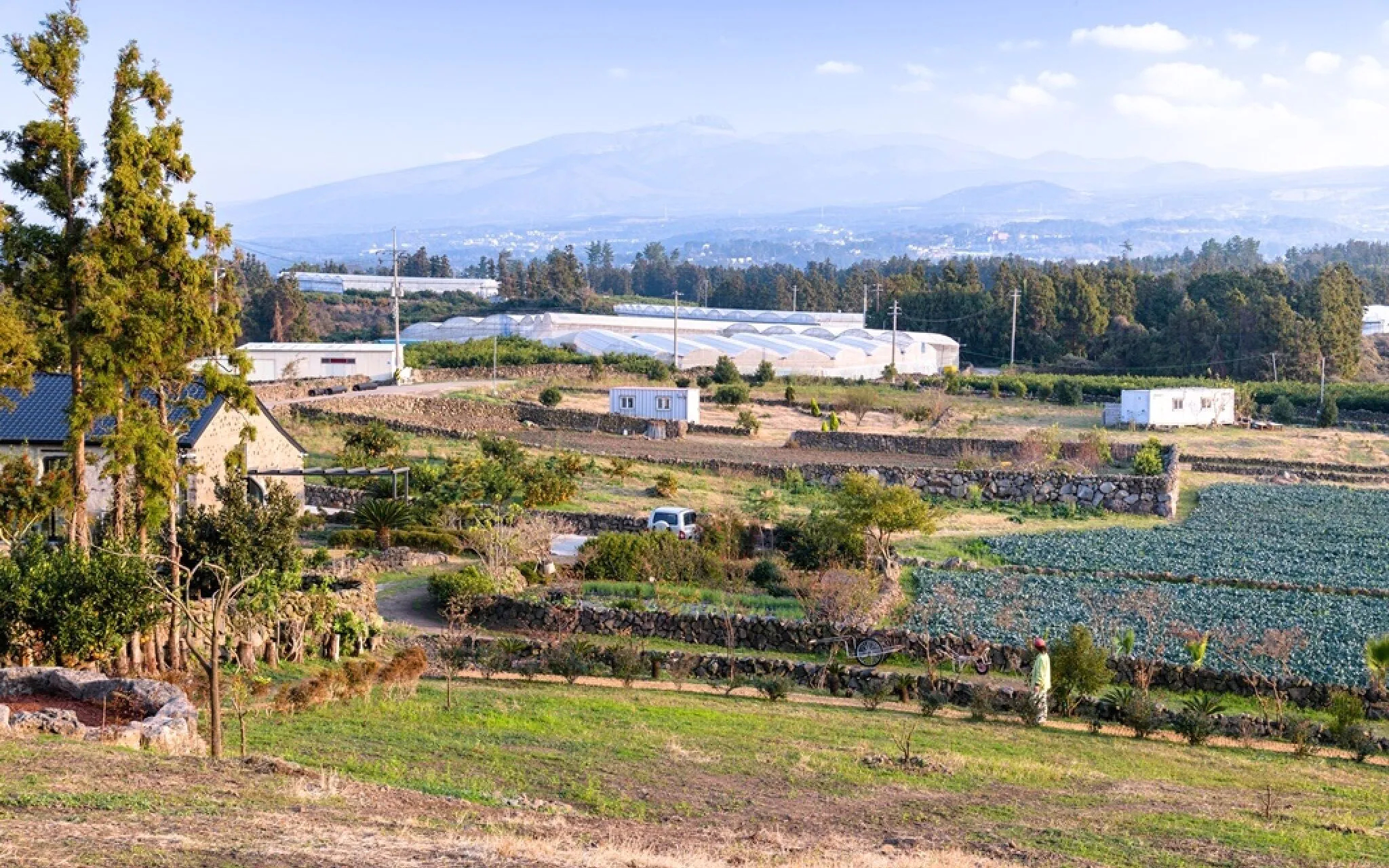 Jeju Patio Aewol