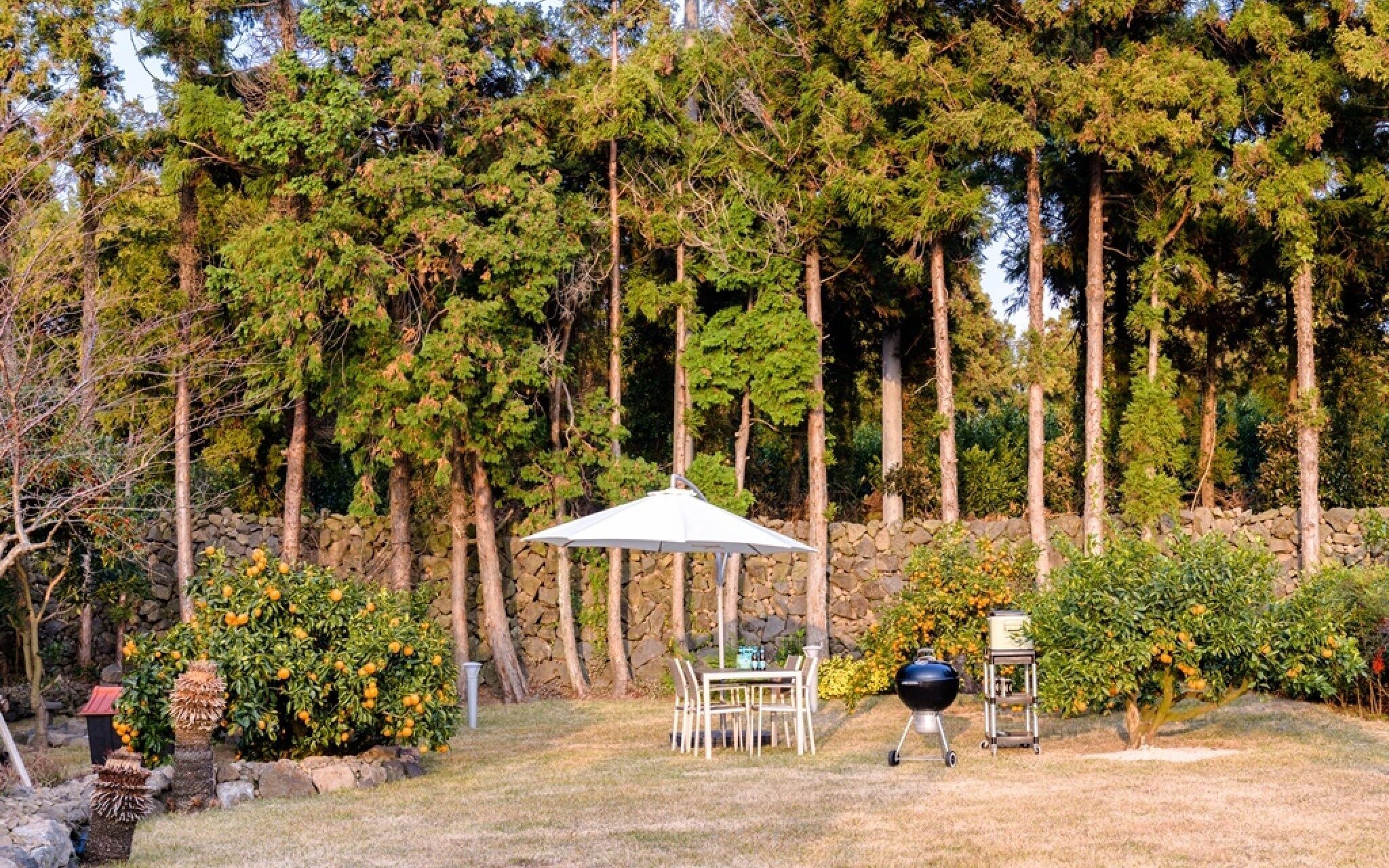 Jeju Patio Aewol