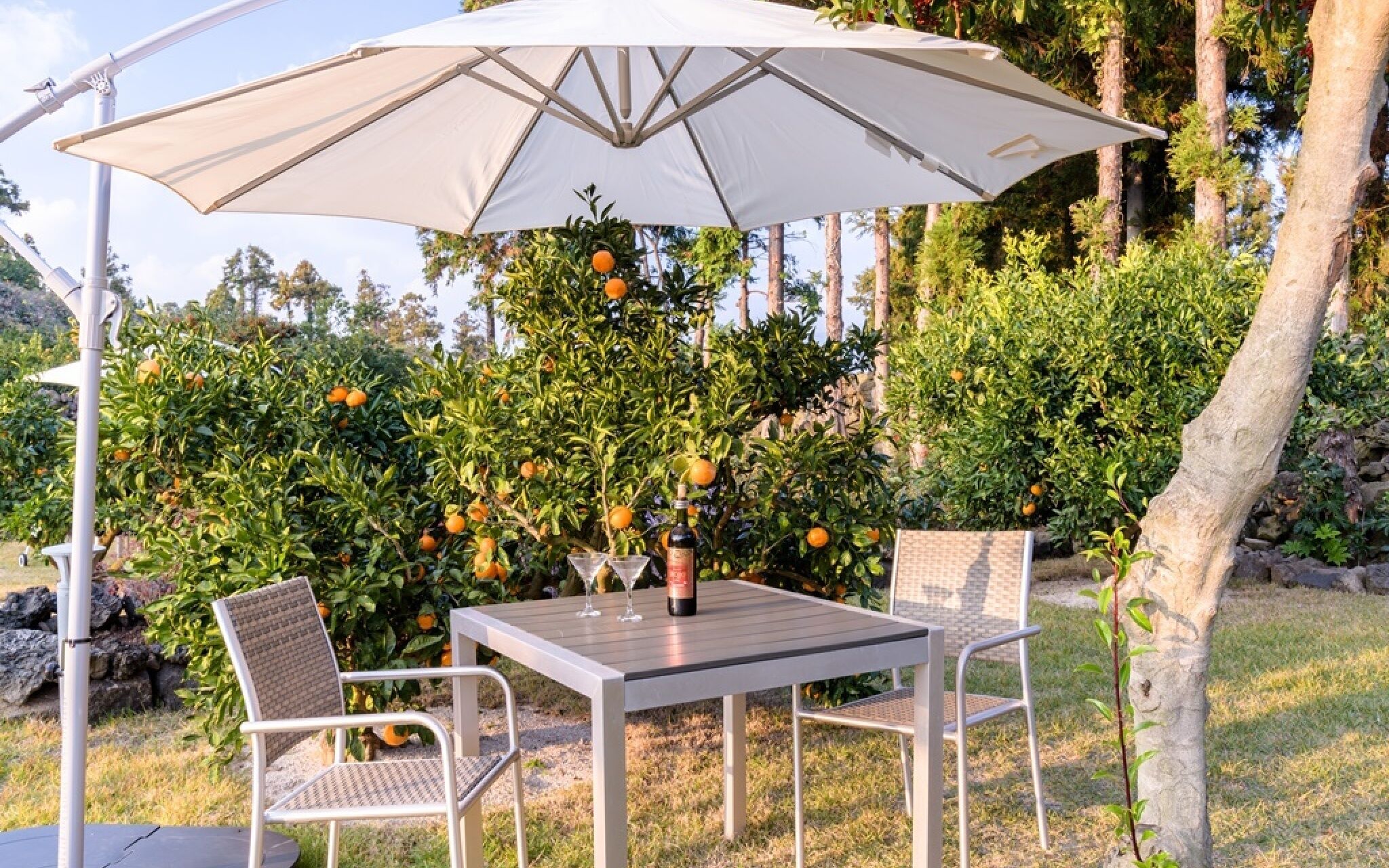 Jeju Patio Aewol