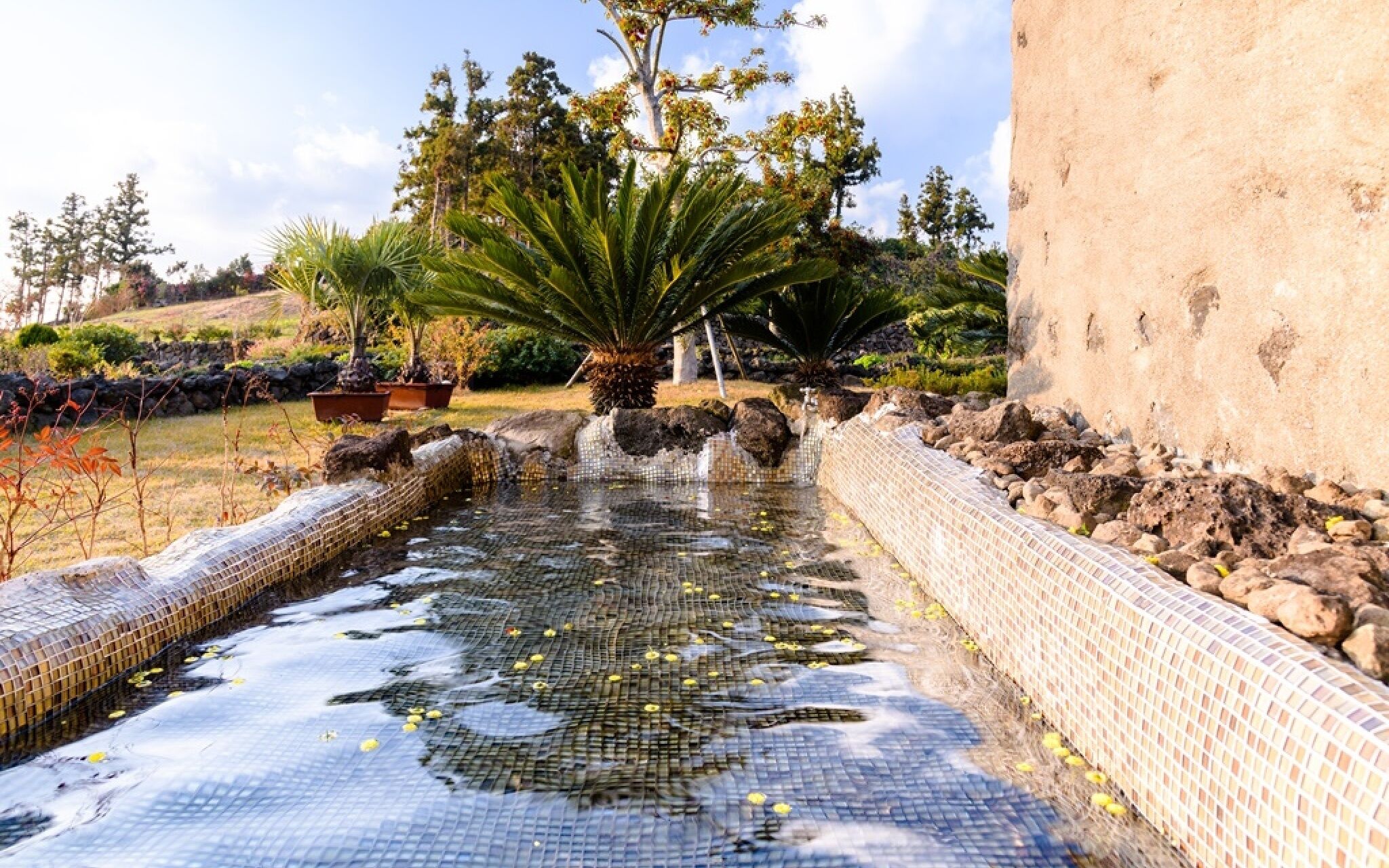 Jeju Patio Aewol