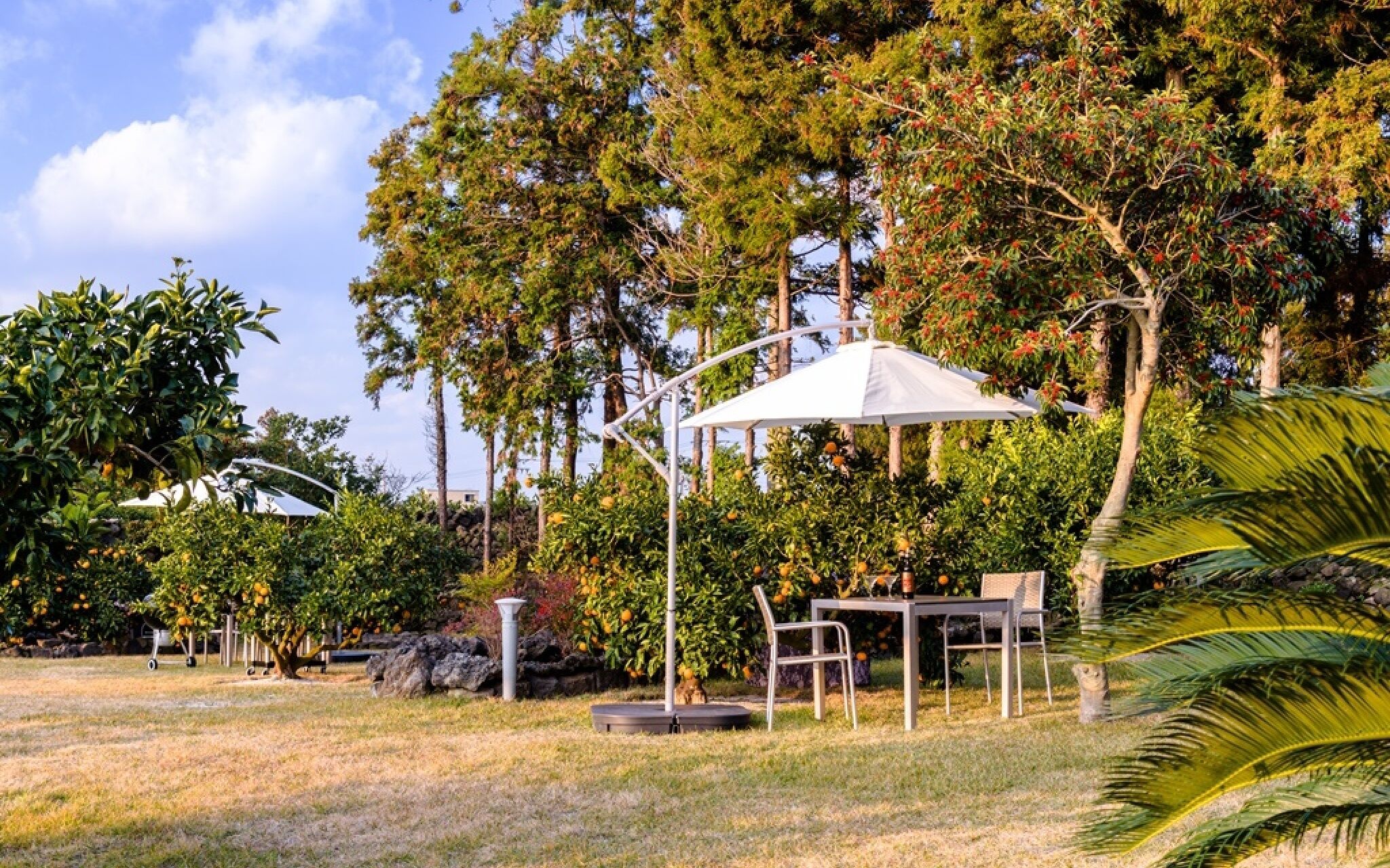 Jeju Patio Aewol