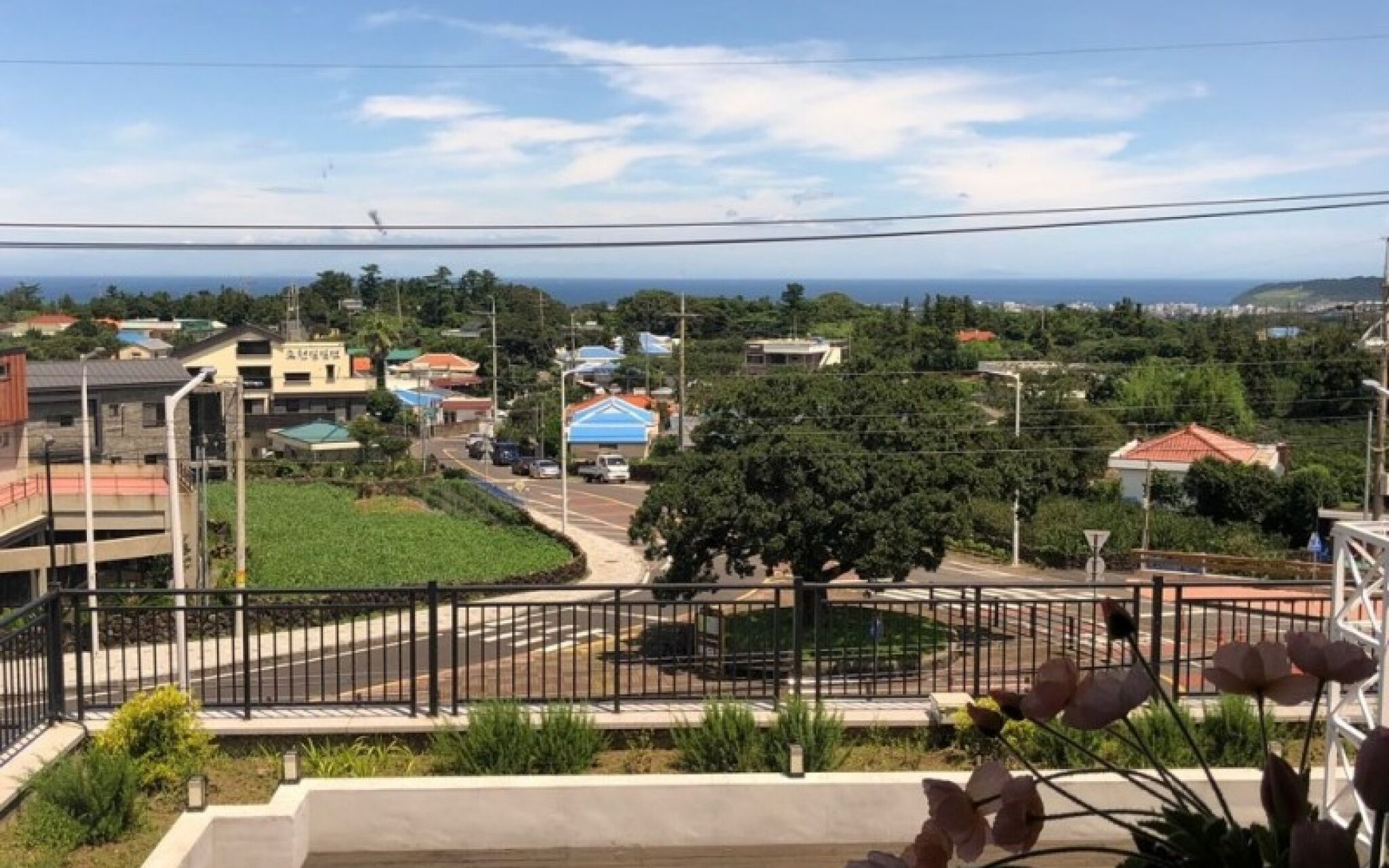 Jeju Waheulpaengnamujip Pension