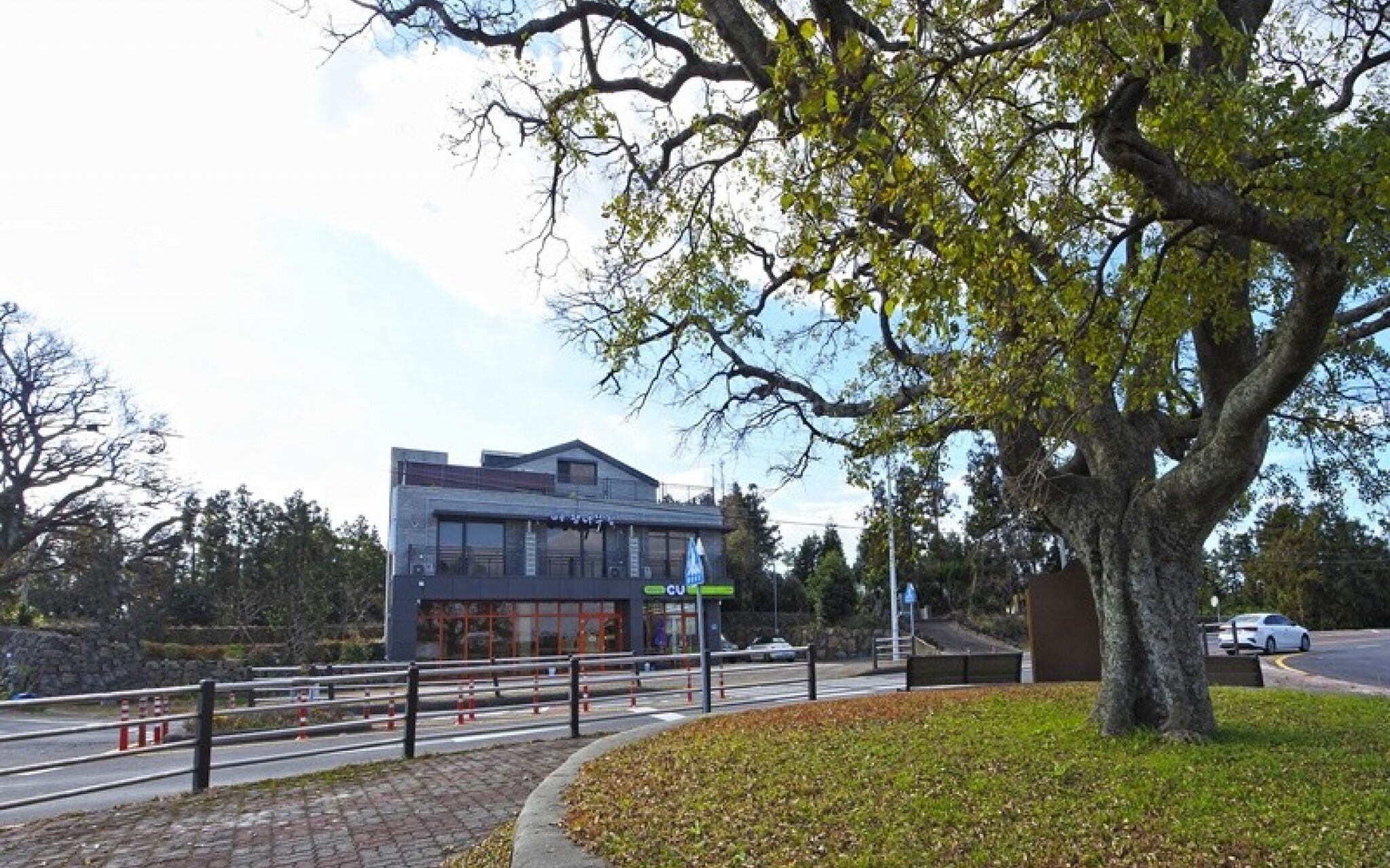 Jeju Waheulpaengnamujip Pension