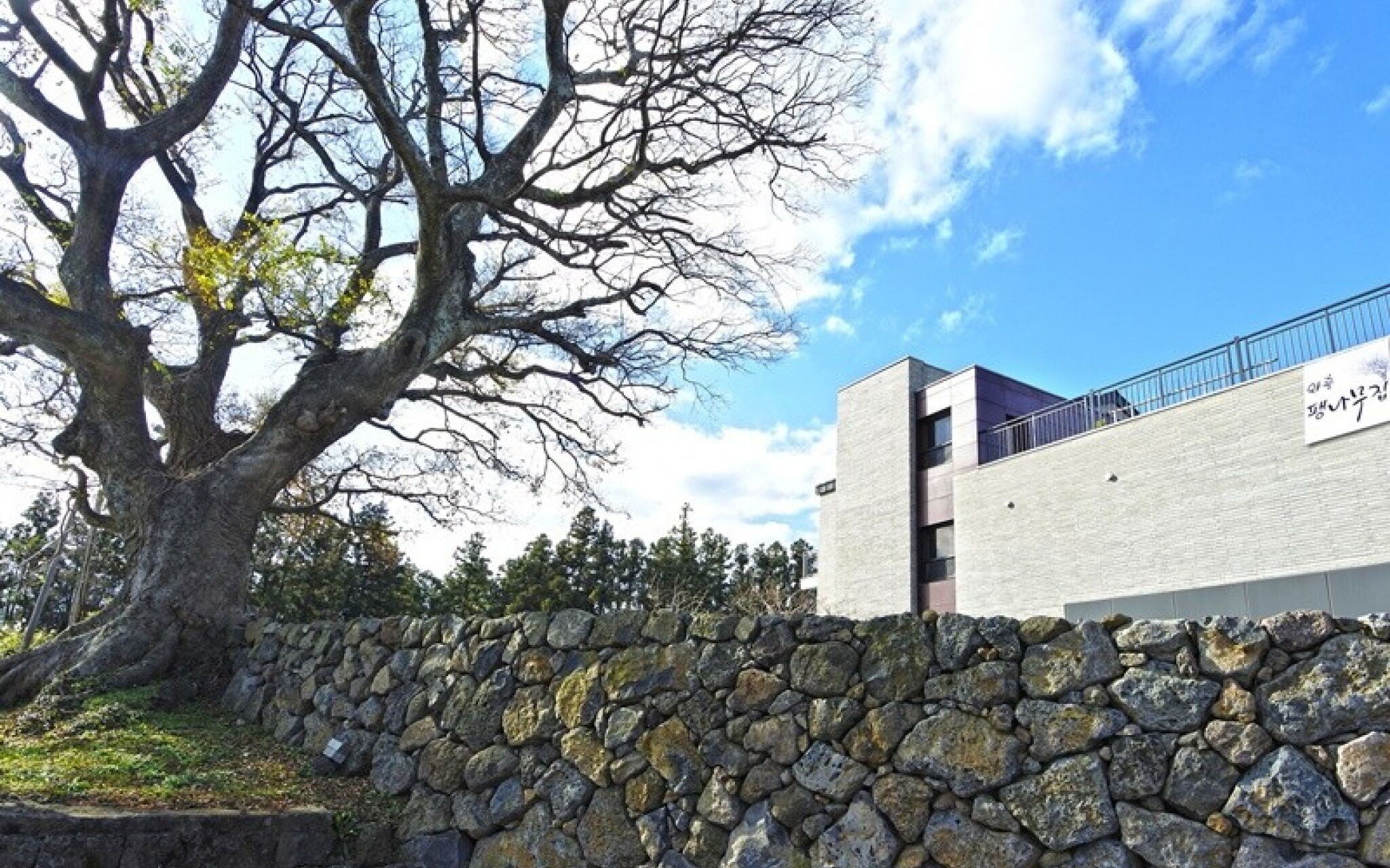 Jeju Waheulpaengnamujip Pension
