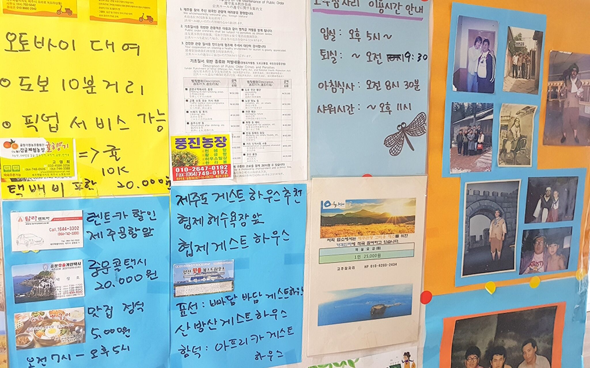 Red Dragonfly Guesthouse Jeju