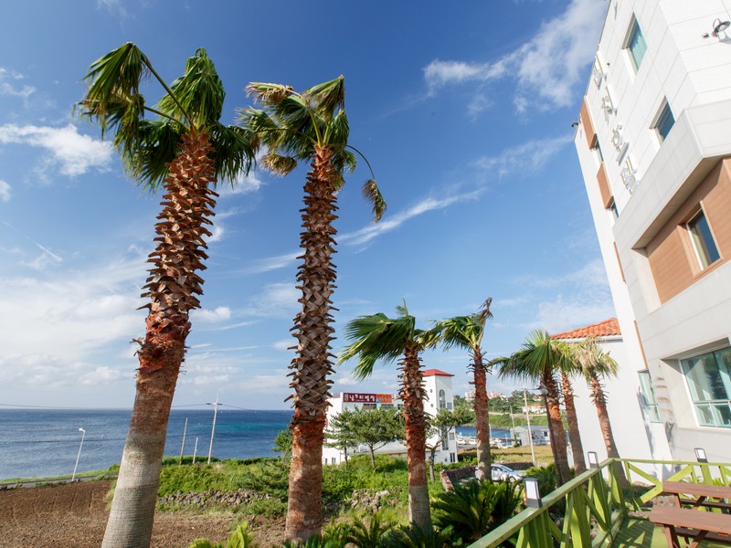 Rich Hotel