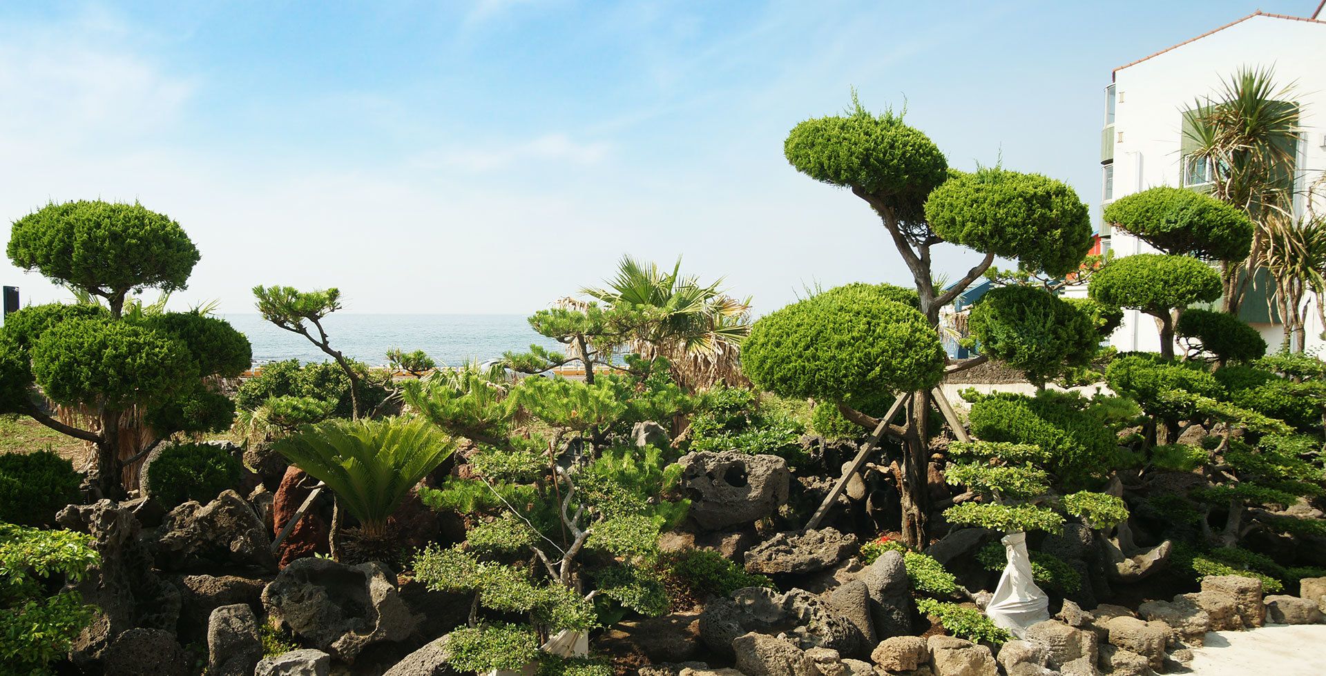 The Beach Pension
