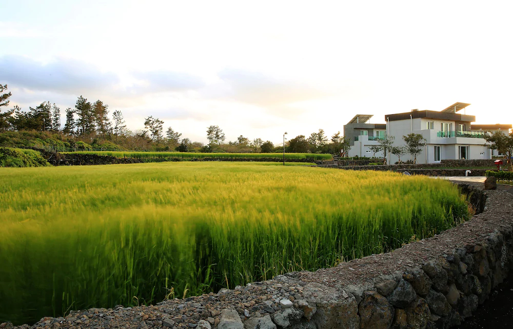 Villa De Hotel Alliance