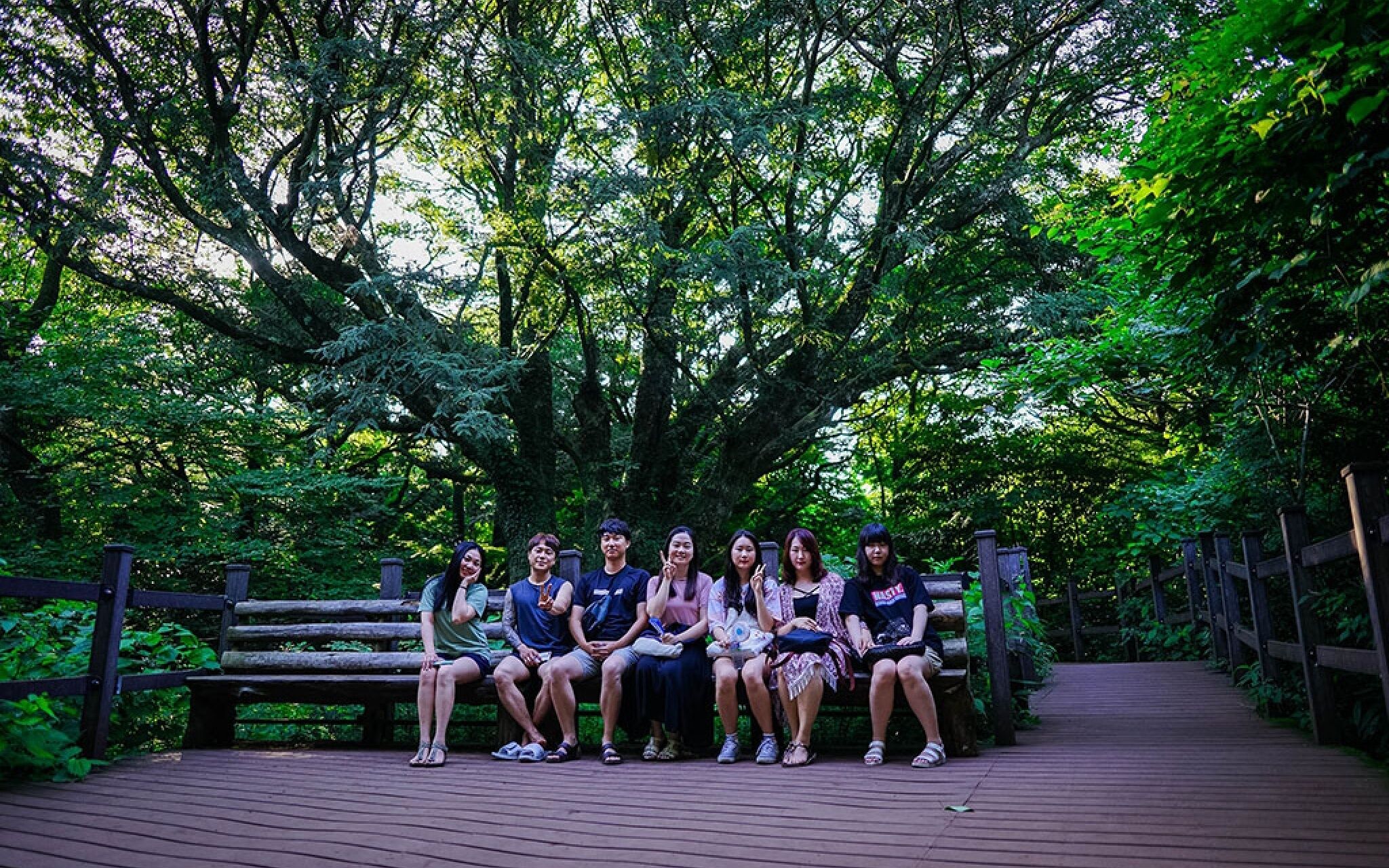 Woljeongri Sonang Guest House 2