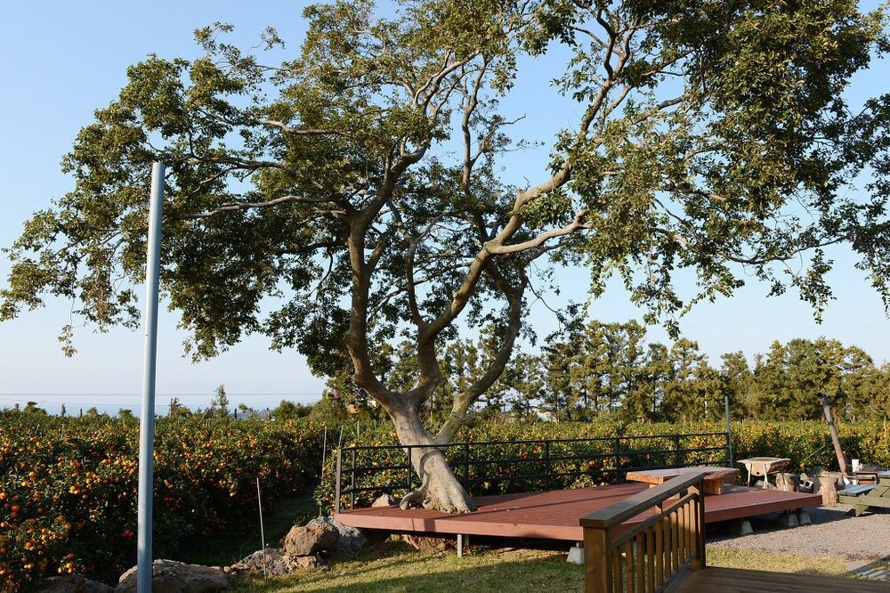 Woorim Pension