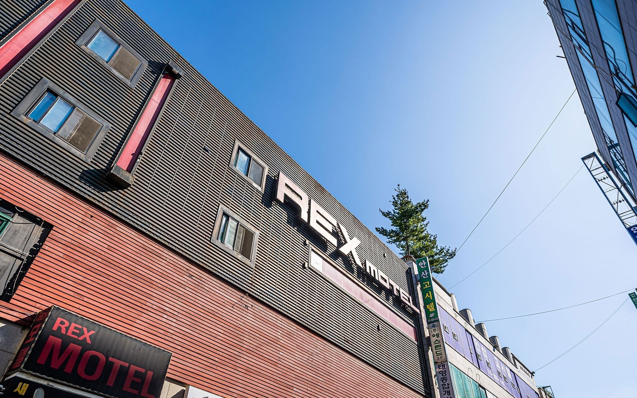 Ansan Rex