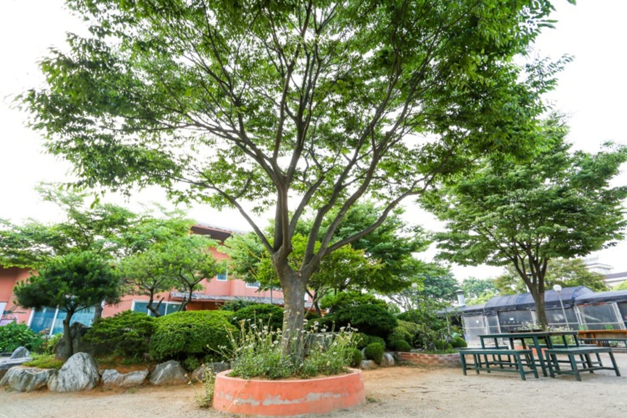 Daebudo Banditbul Pension