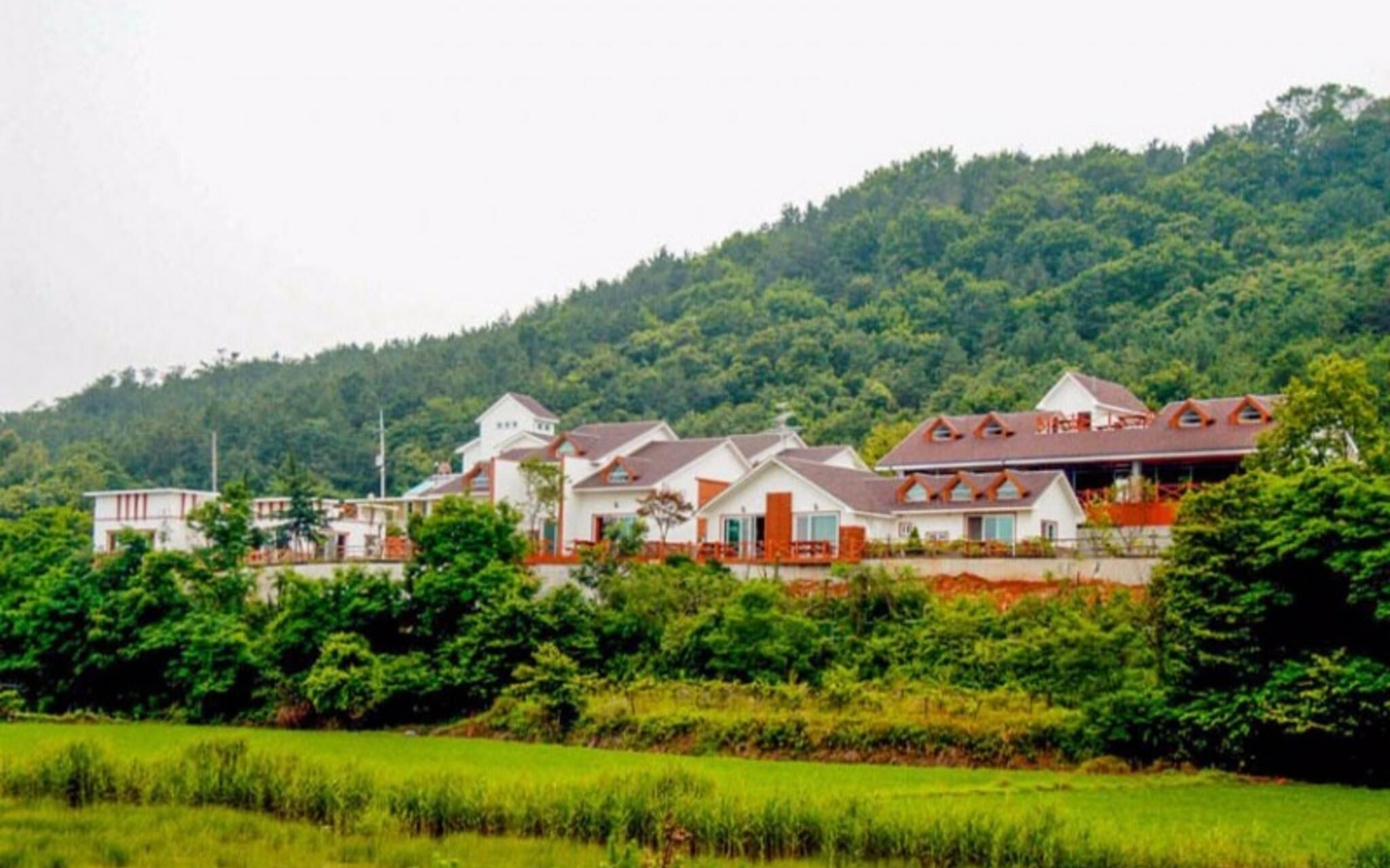 Daebudo White Island Pension