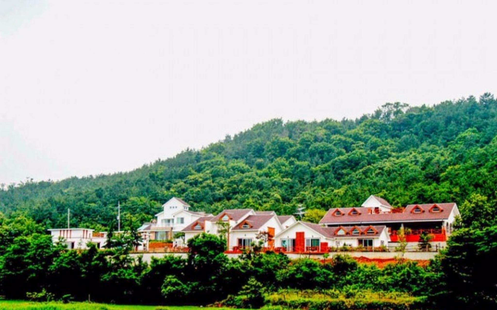 Daebudo White Island Pension