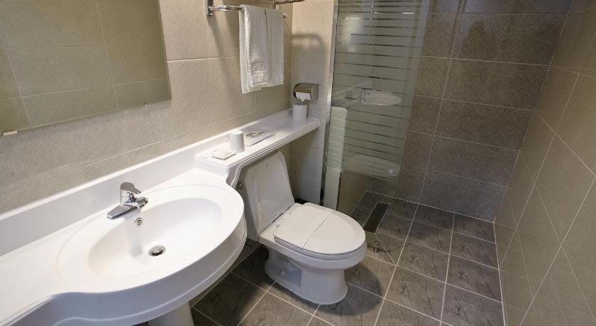 CS Premier Hotel