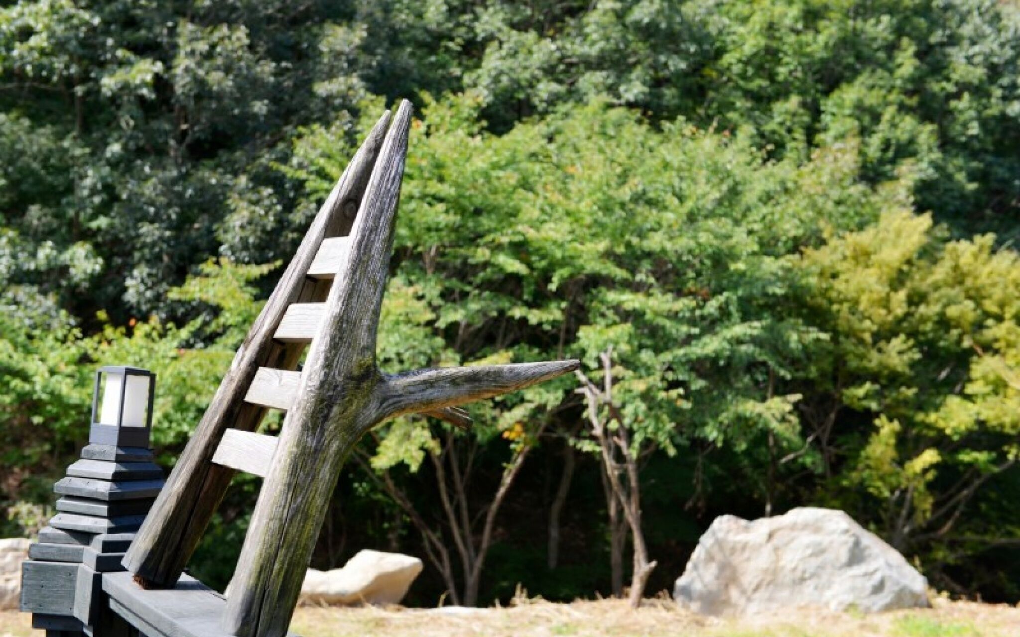 Asan Haseoone Pension