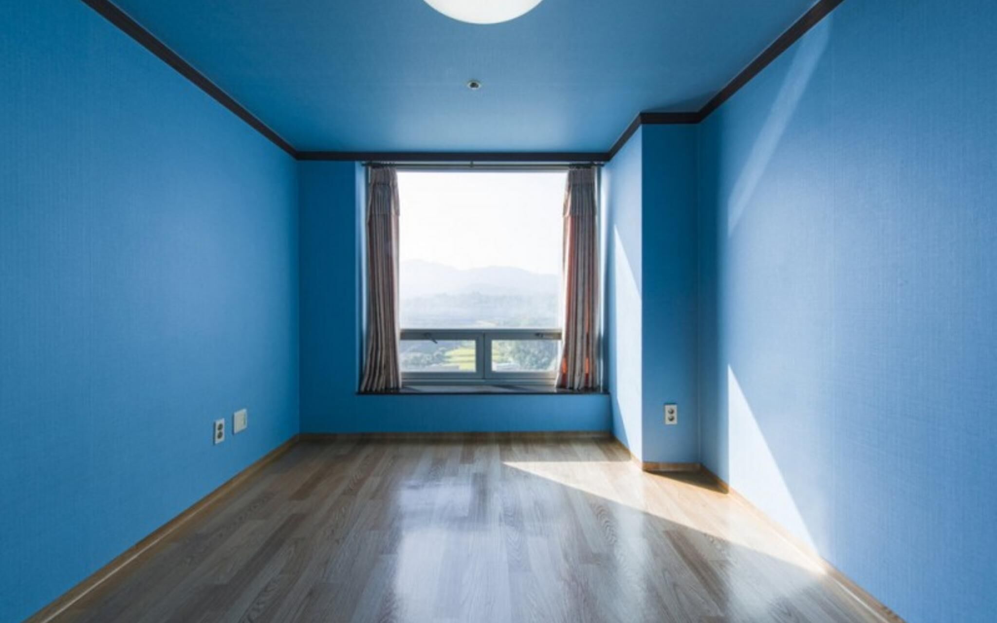 Asan The Witt Dogo Pension