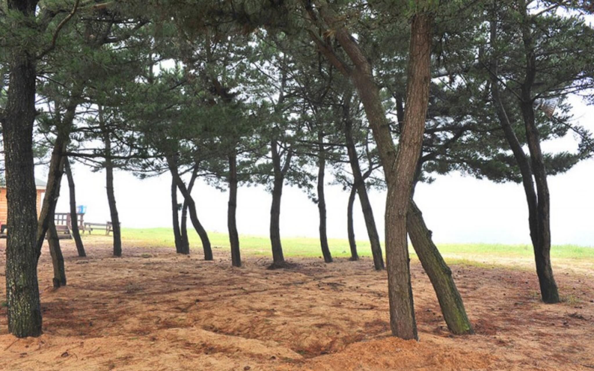 Boryeong Beach House Pension