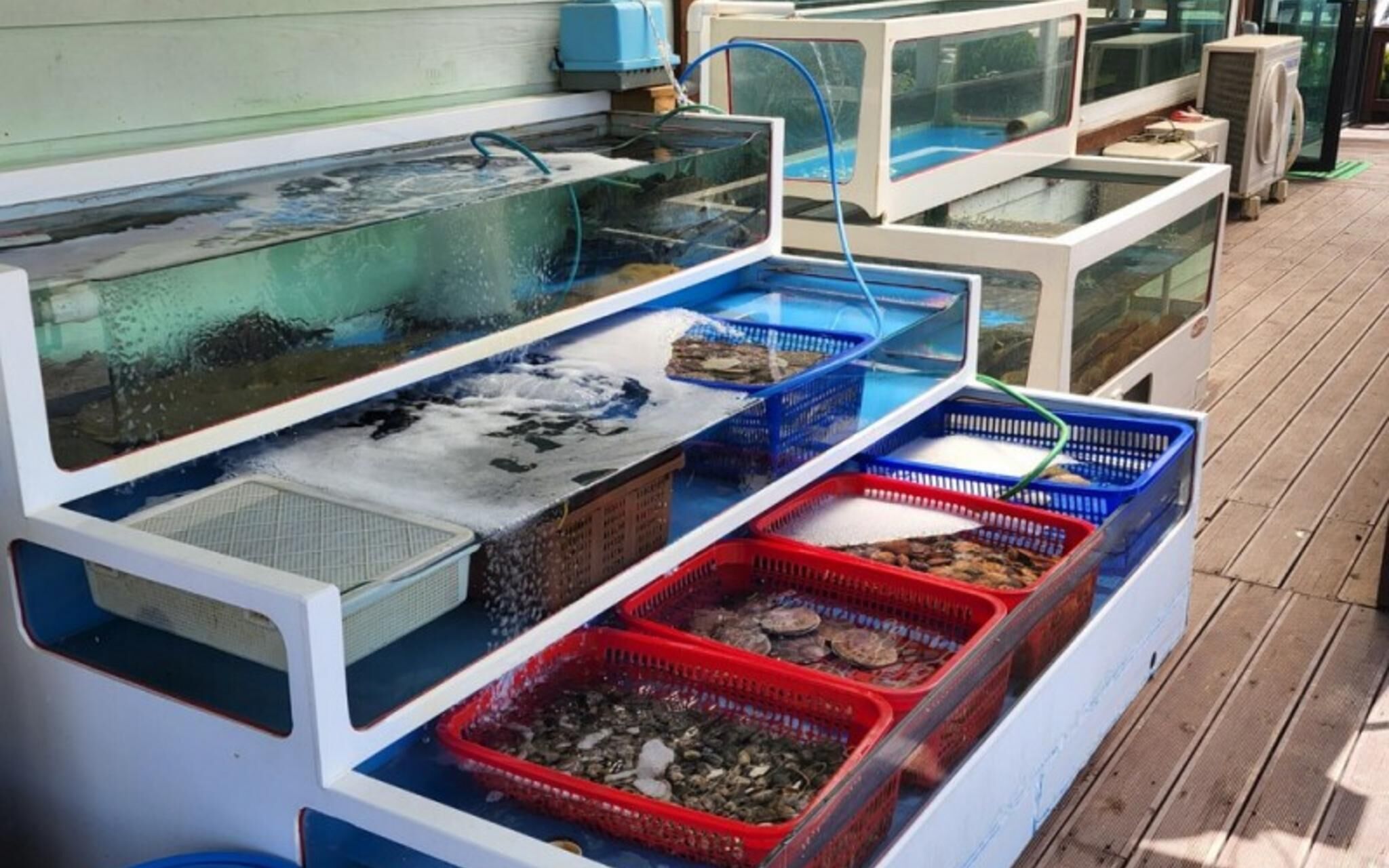 Boryeong Beach House Pension