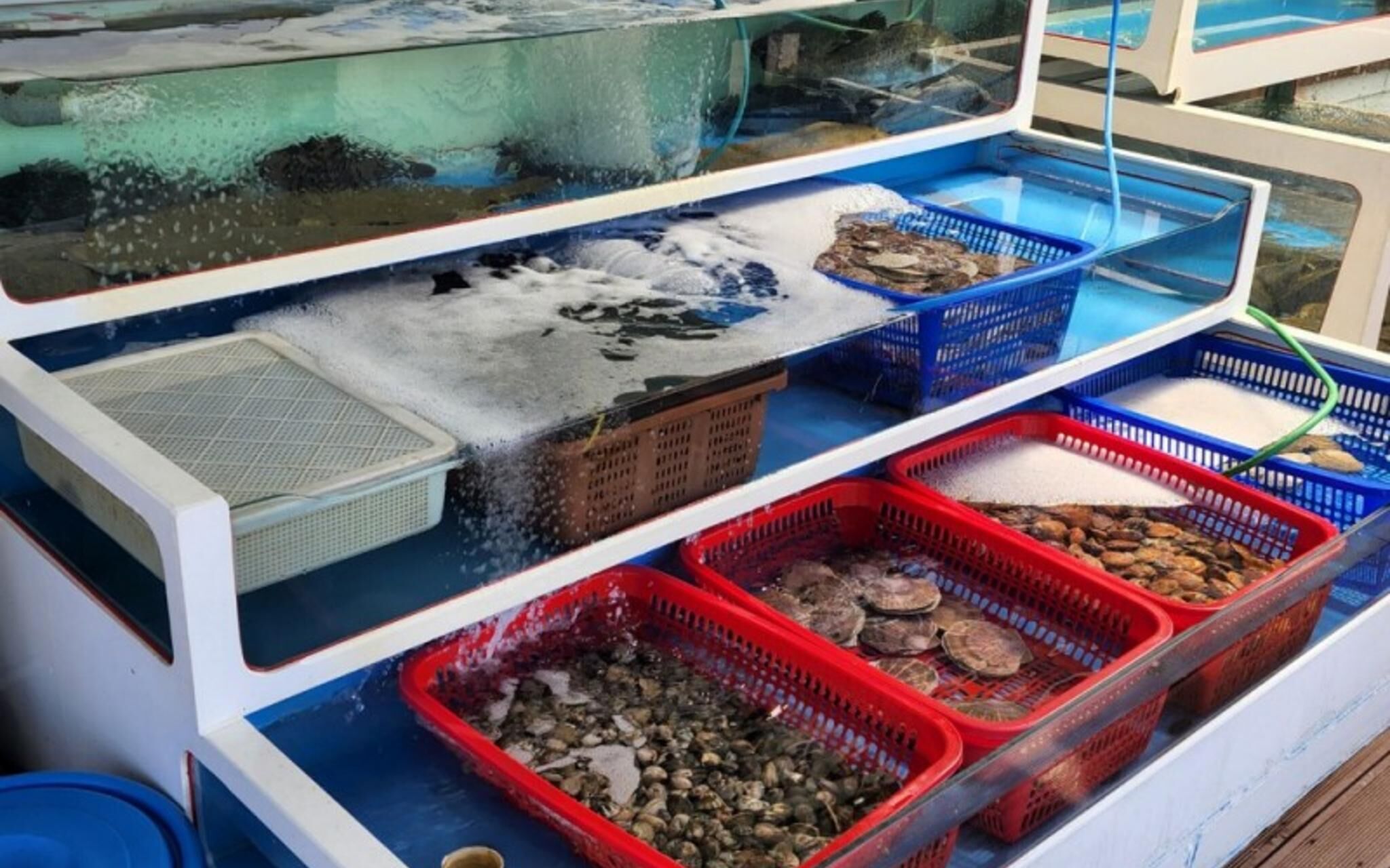 Boryeong Beach House Pension