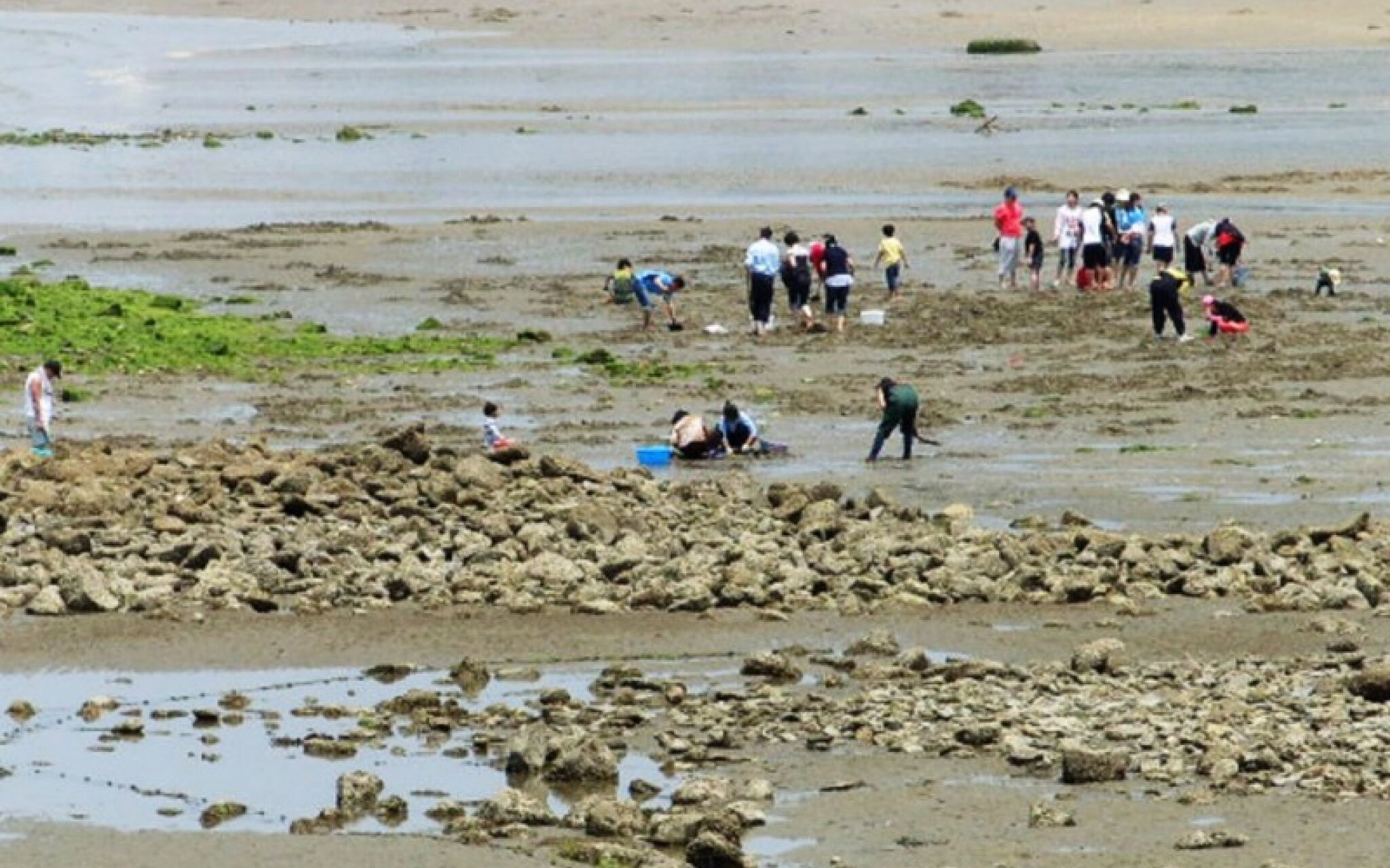 Boryeong Blue Heights Pension