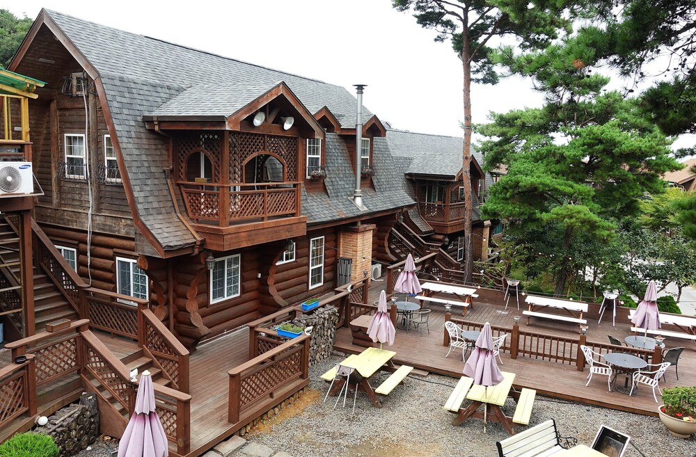 SSE Log Town