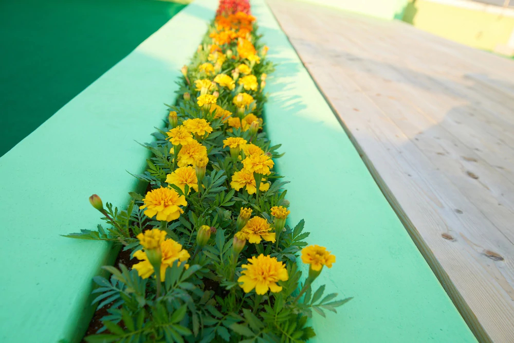 24 Guesthouse Jagalchi
