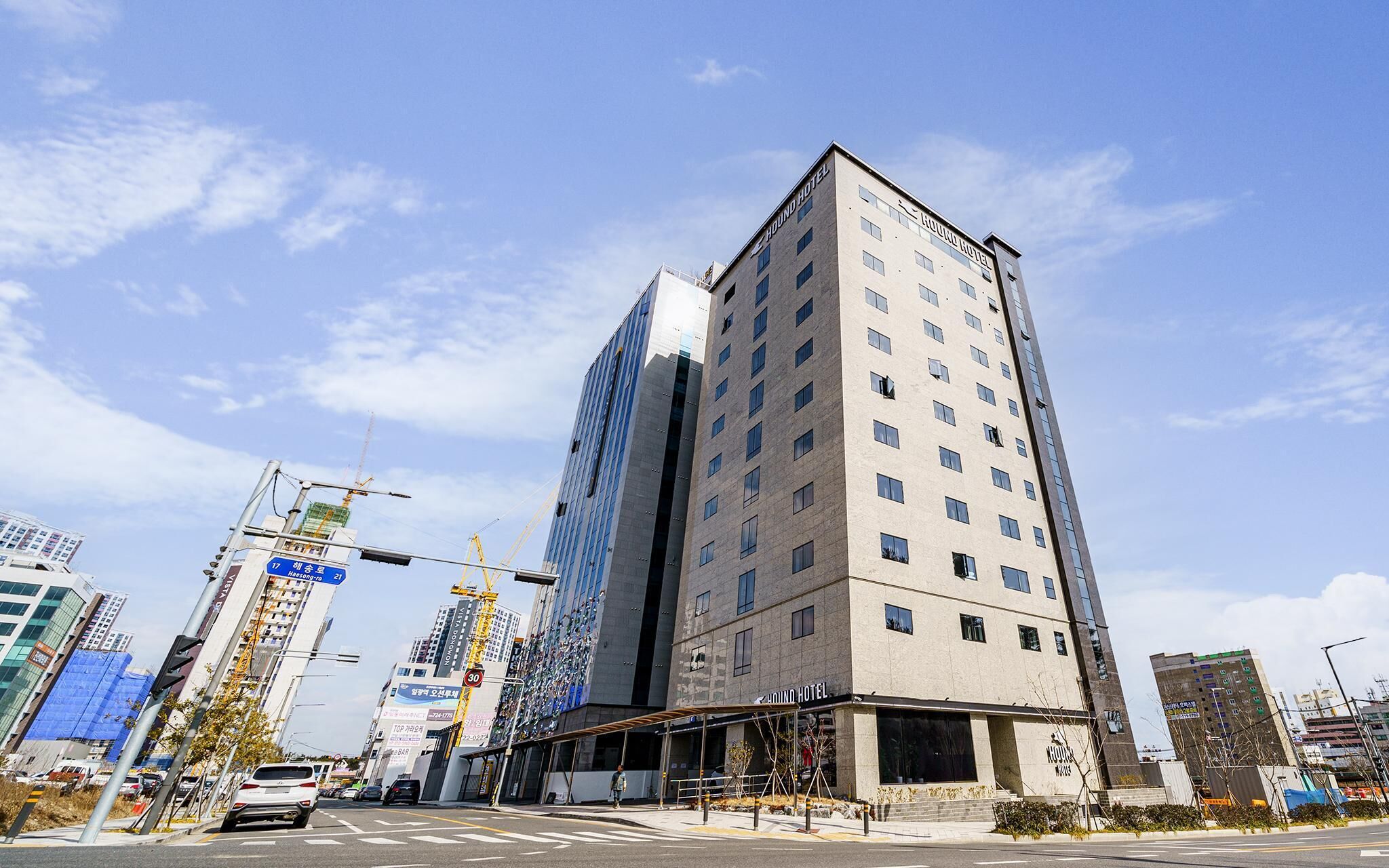 Busan Gijang Hound Gijang Ilgwang