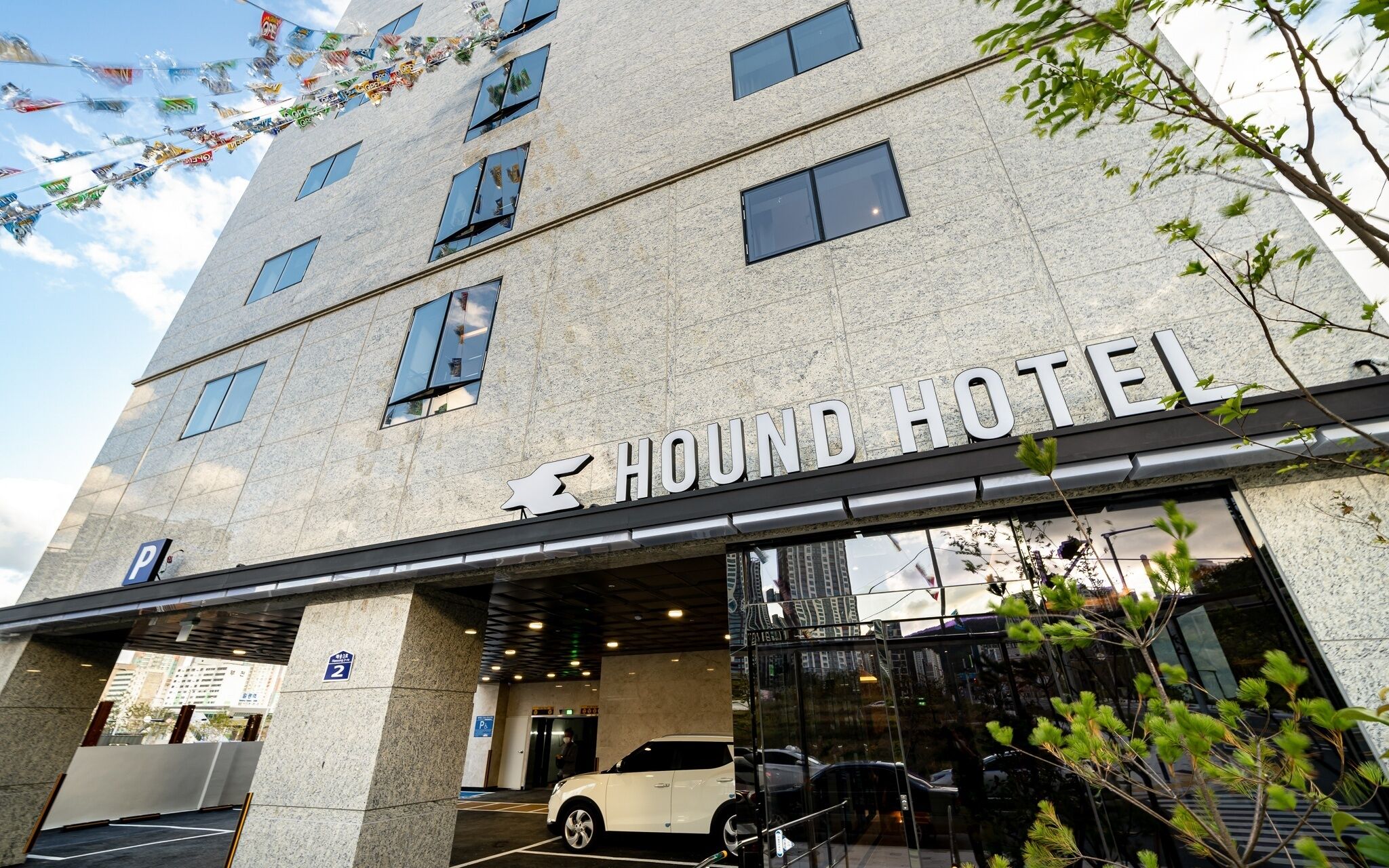 Busan Gijang Hound Gijang Ilgwang