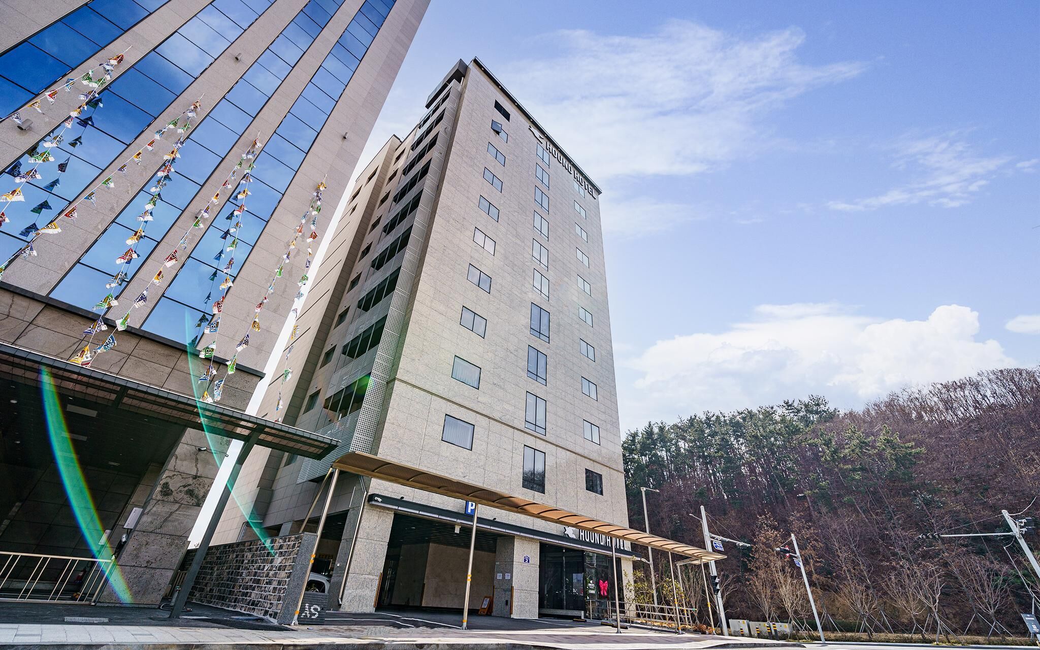 Busan Gijang Hound Gijang Ilgwang