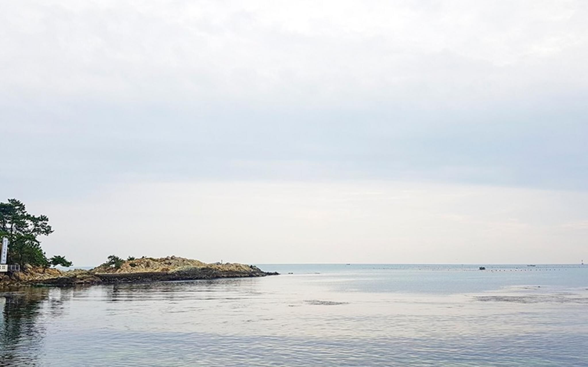 Busan Maru House Pension