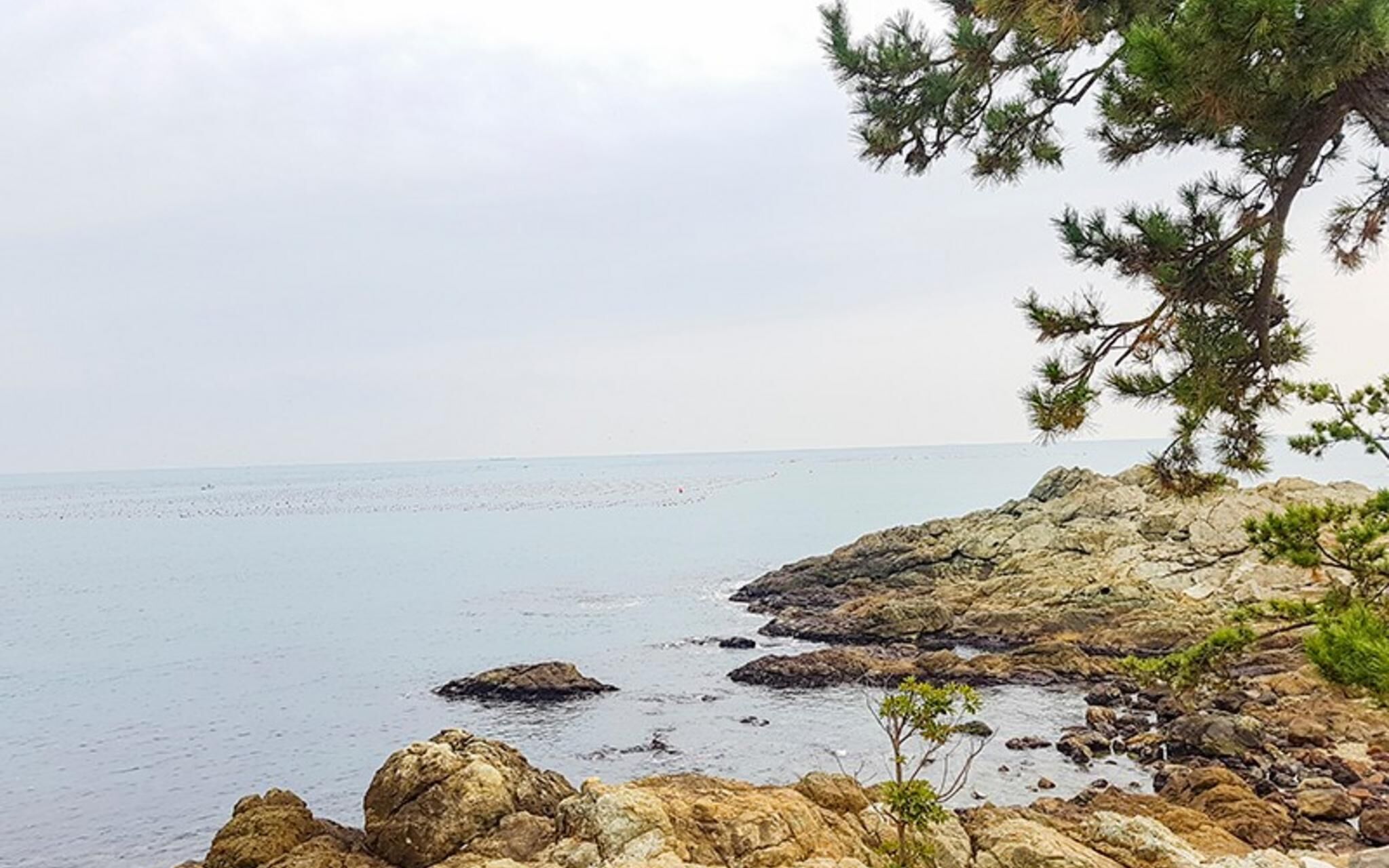 Busan Maru House Pension