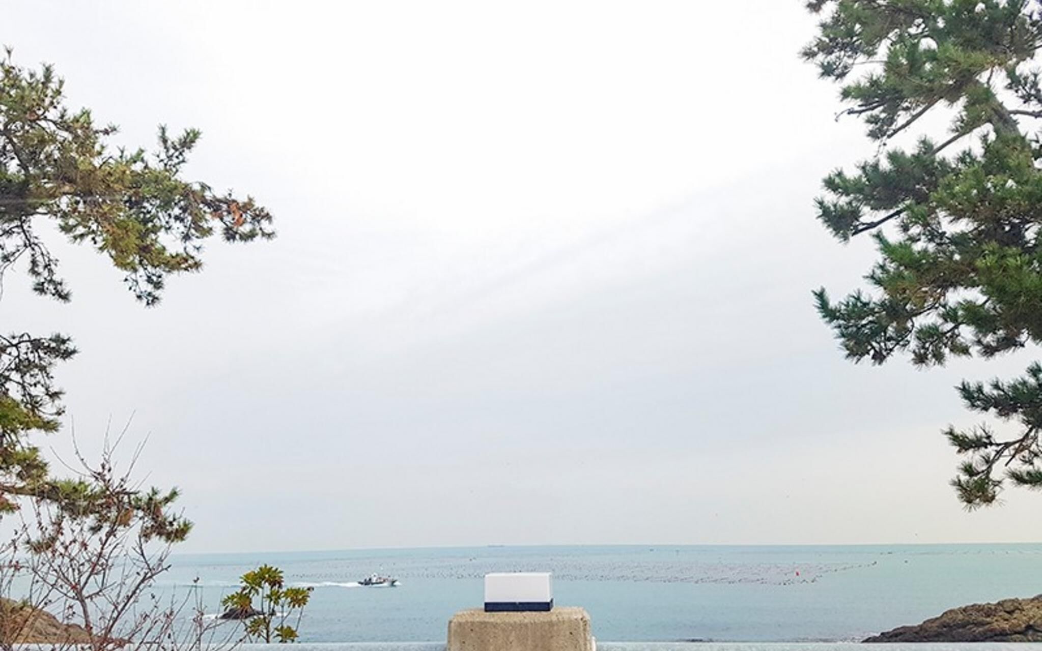 Busan Maru House Pension