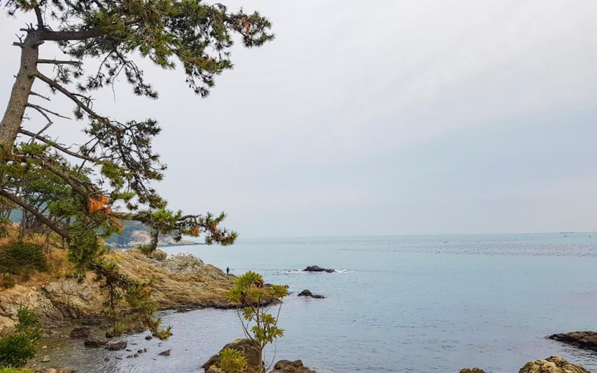 Busan Maru House Pension