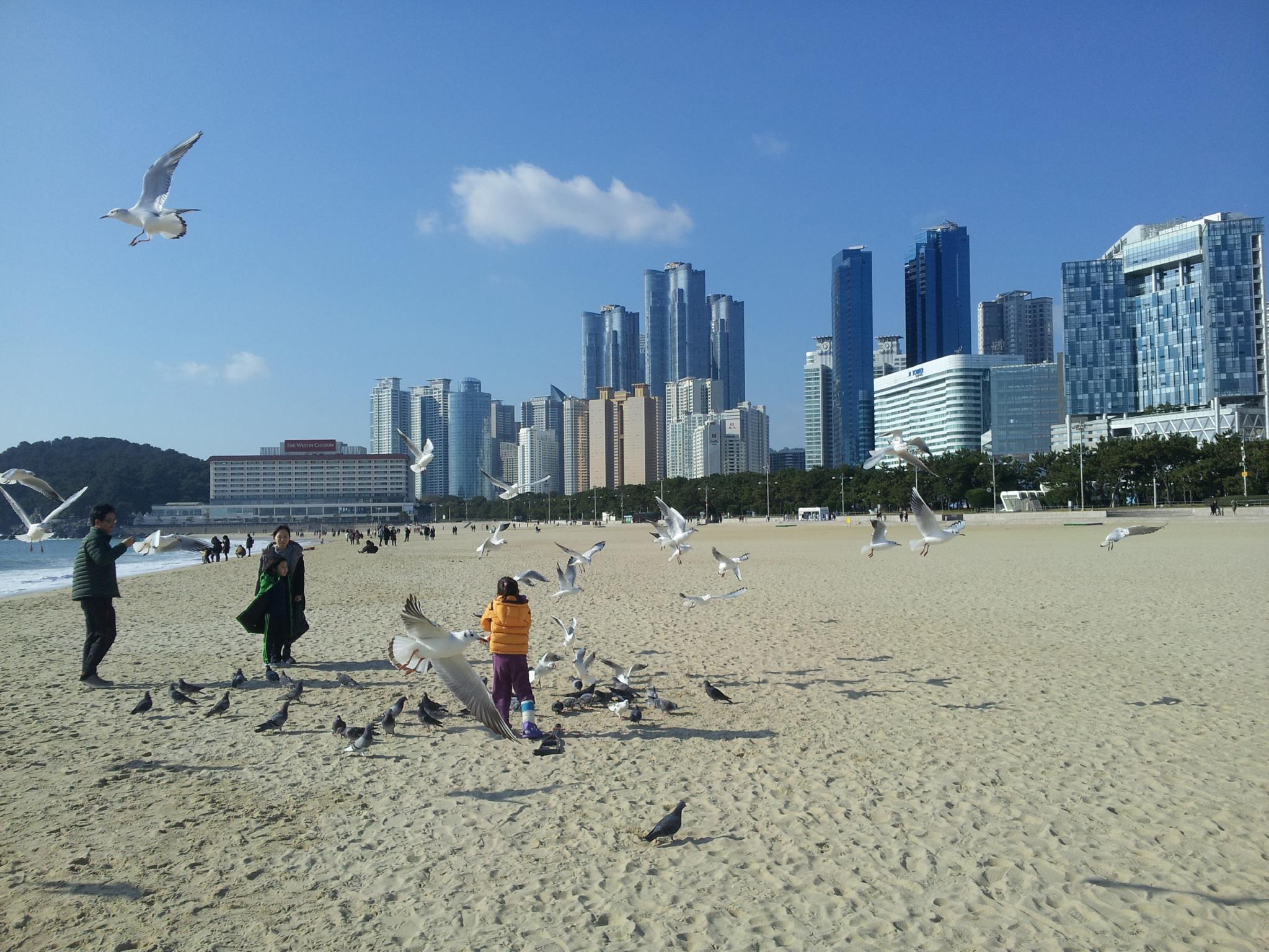 Haeundae With Guesthouse