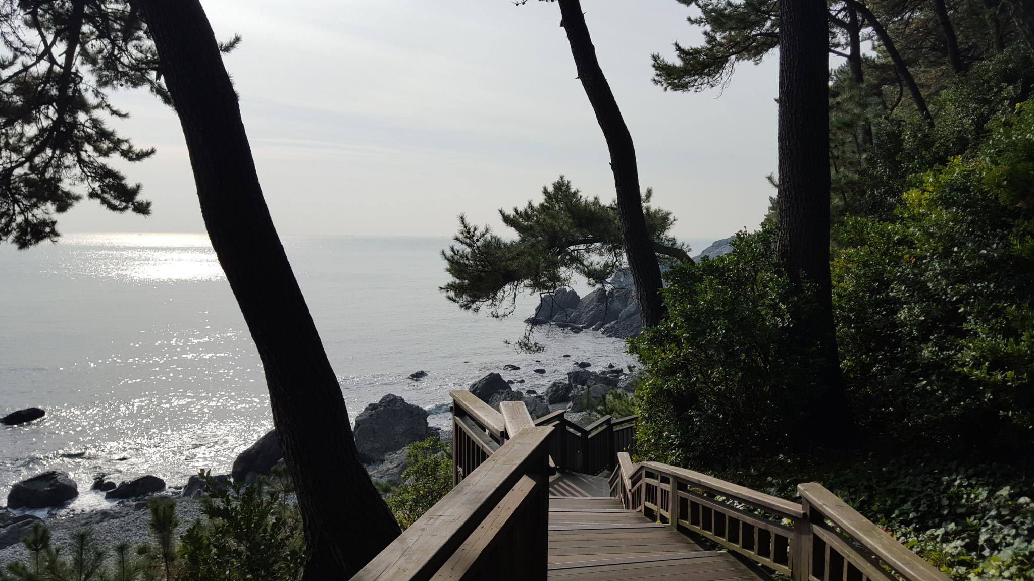 Haeundae With Guesthouse