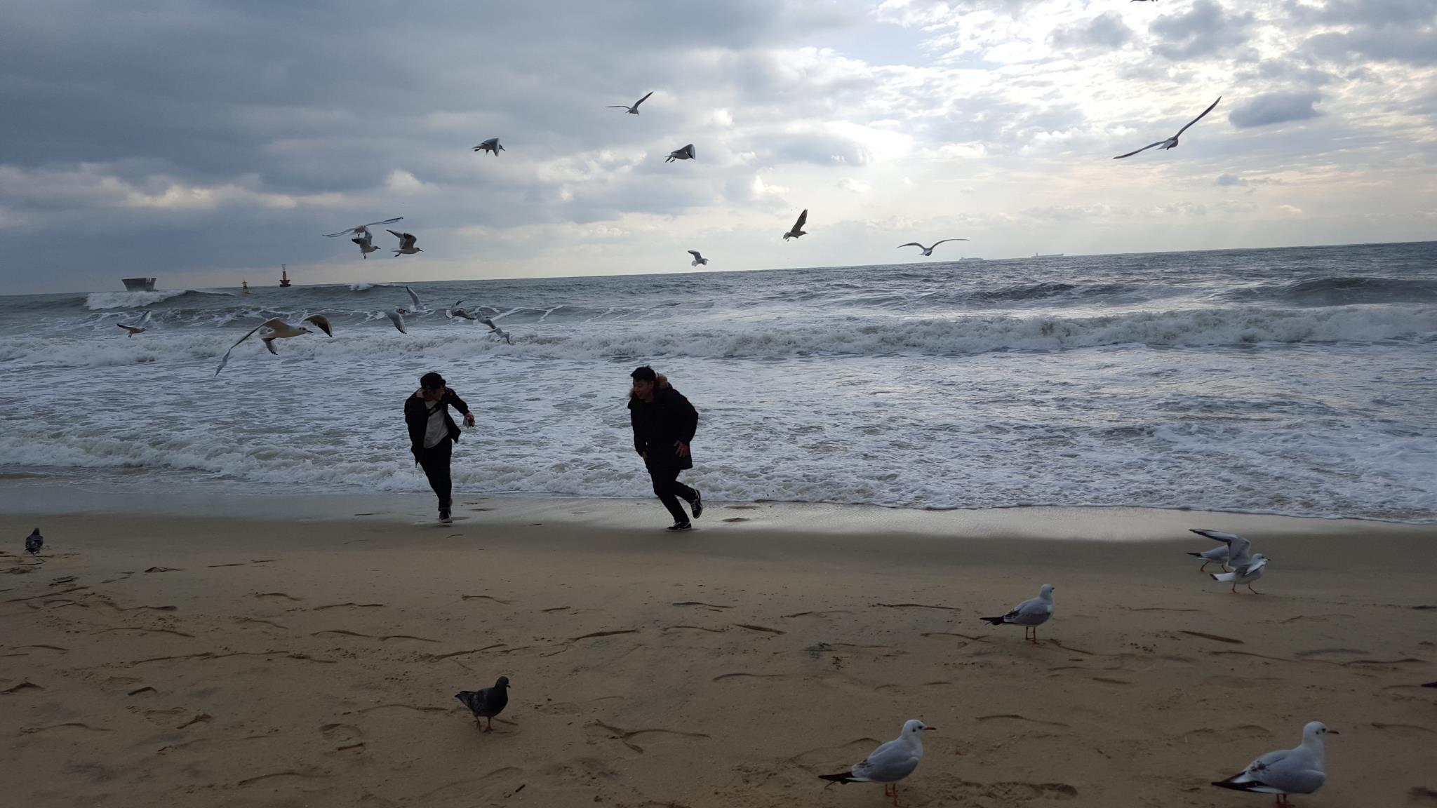 Haeundae With Guesthouse