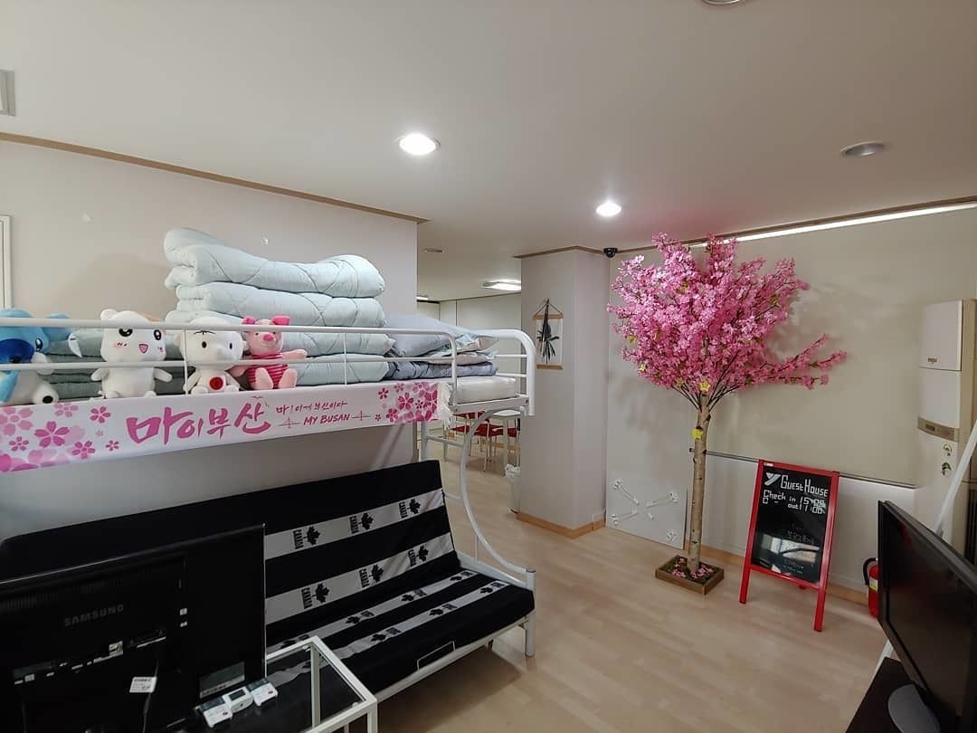 Haeundae Y Guesthouse - Hostel