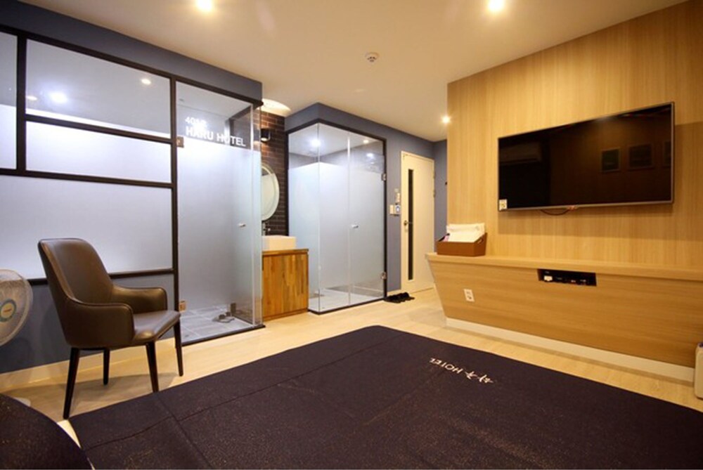 Haru Hotel Seomyeon Station