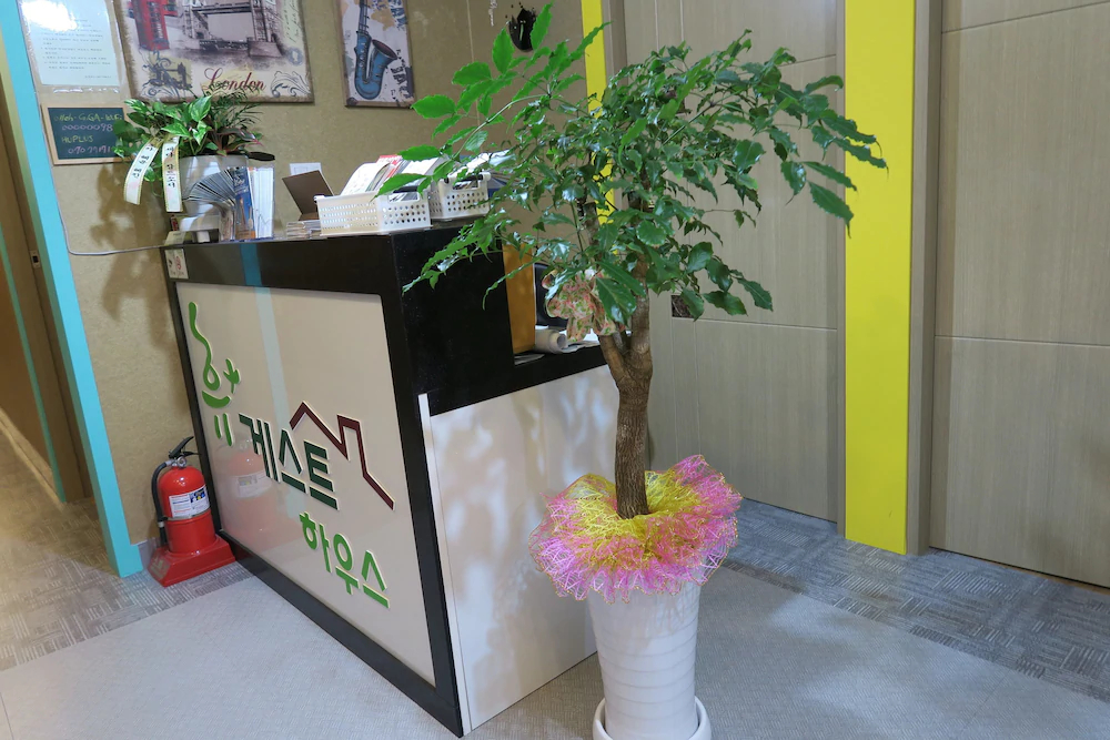 Huy+ Guesthouse
