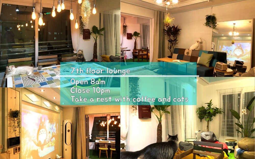 Mint Paradise Guest House