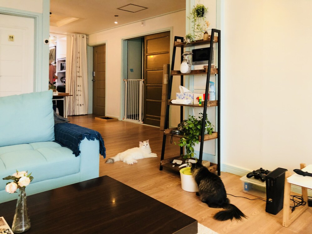 Mint Paradise Guest House