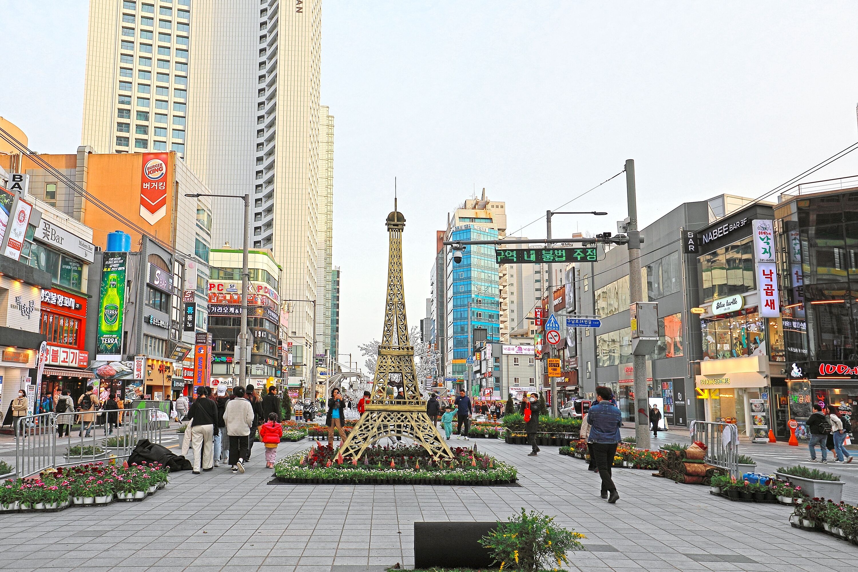 Sota Collection The Haeundae